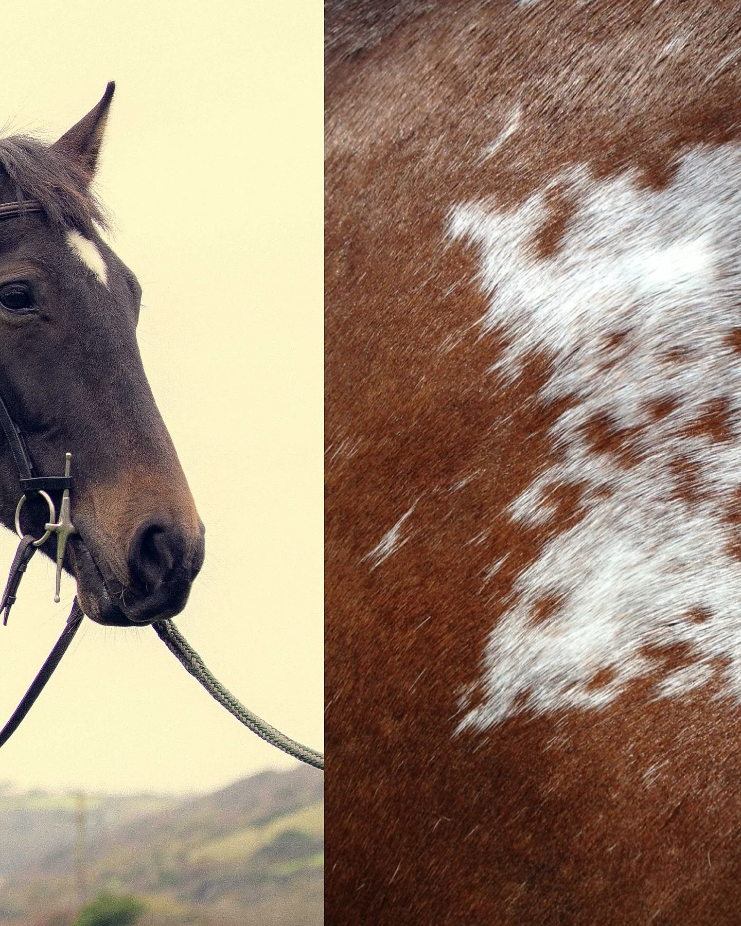 And just like that&hellip;AW25 has just dropped at Shaded The Label. Featuring responsible Mongolian Fur and sustainable methods, this collection is one to be proud of 🤎 
More of our latest season dropping daily&hellip;🕰️ 

#shadedthelabel