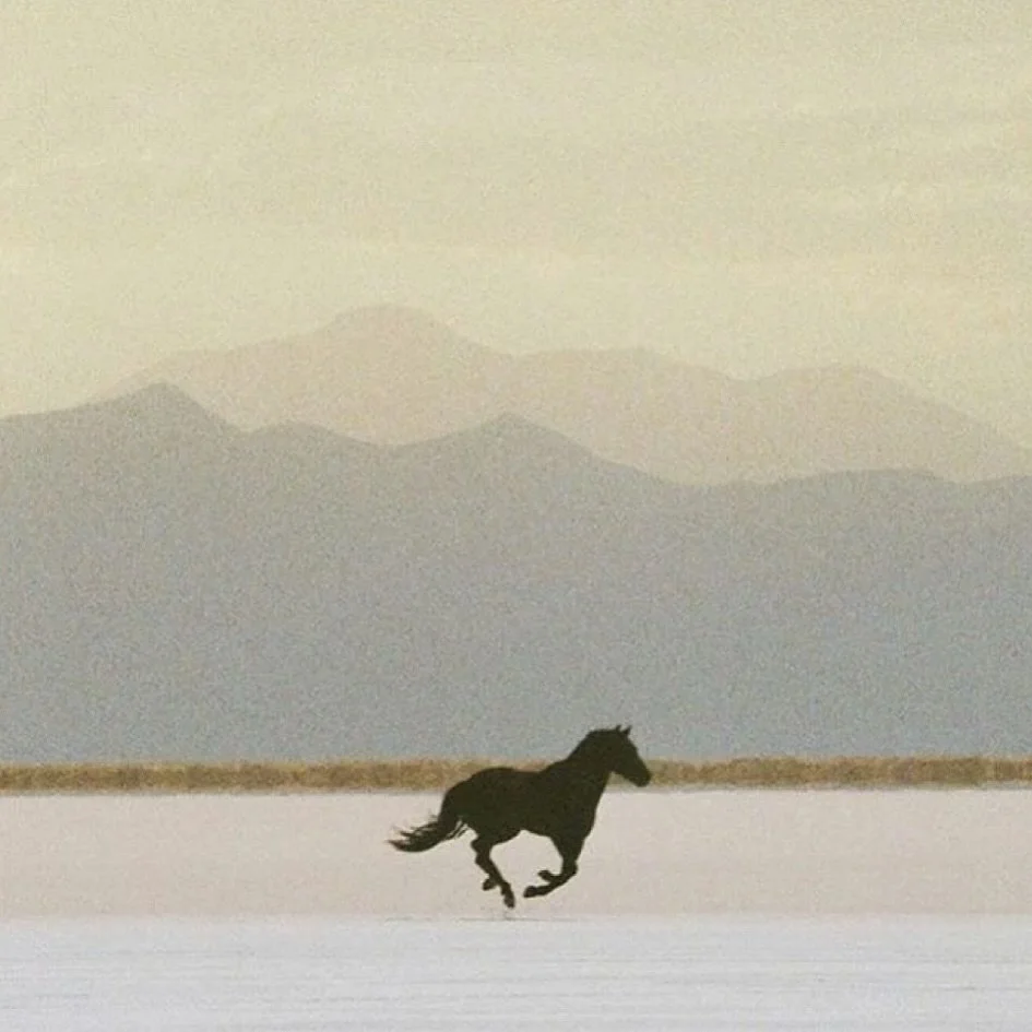 Let the reigns lead the way and follow your inner cowboy in our AW25 collection at Shaded The Label 🤎 

Now available in store and online.

#shadedthelabel