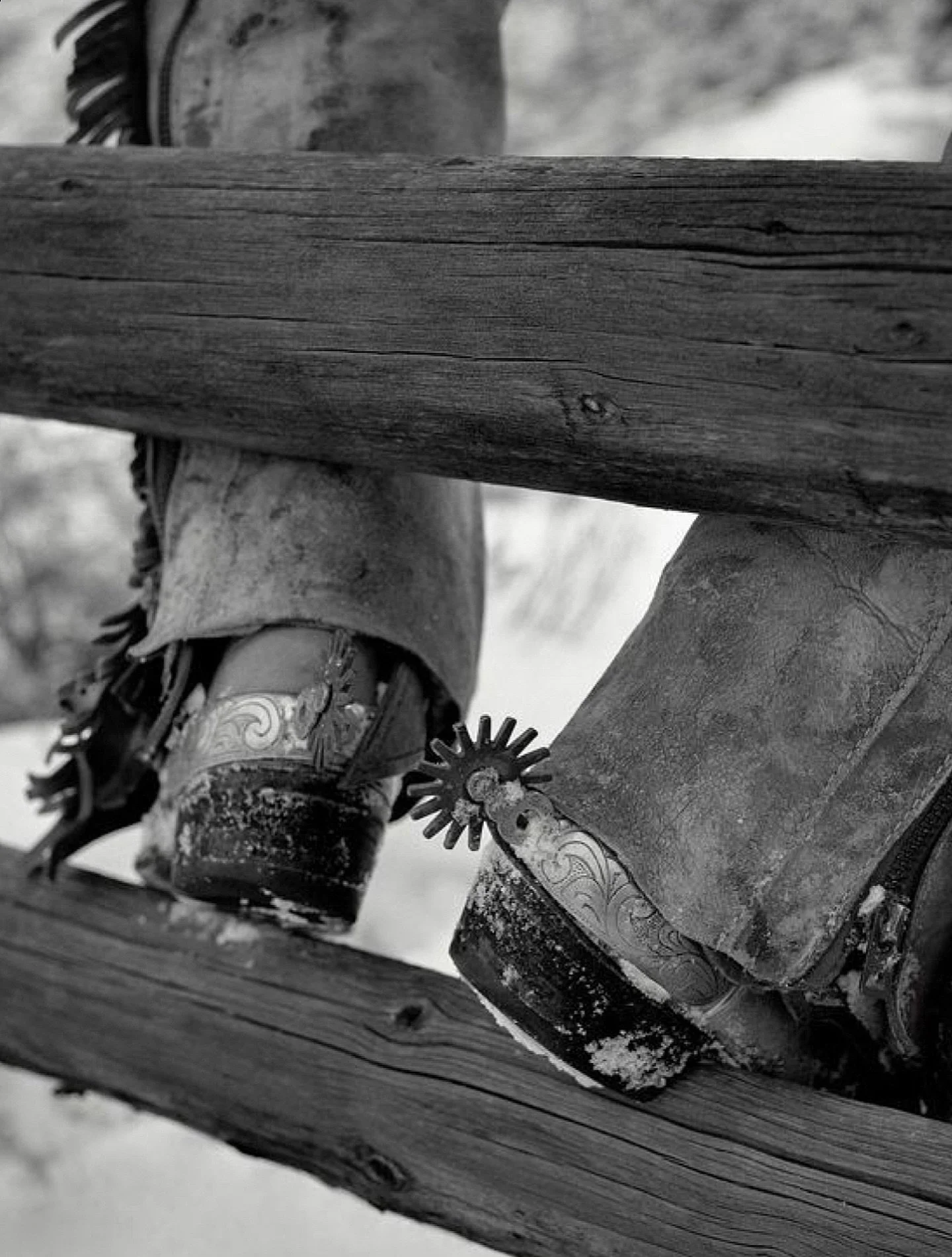 New Season Shaded The Label is within arms reach&hellip;launching this Monday 16.11.25. Yeehaw Cowgirl 🤎