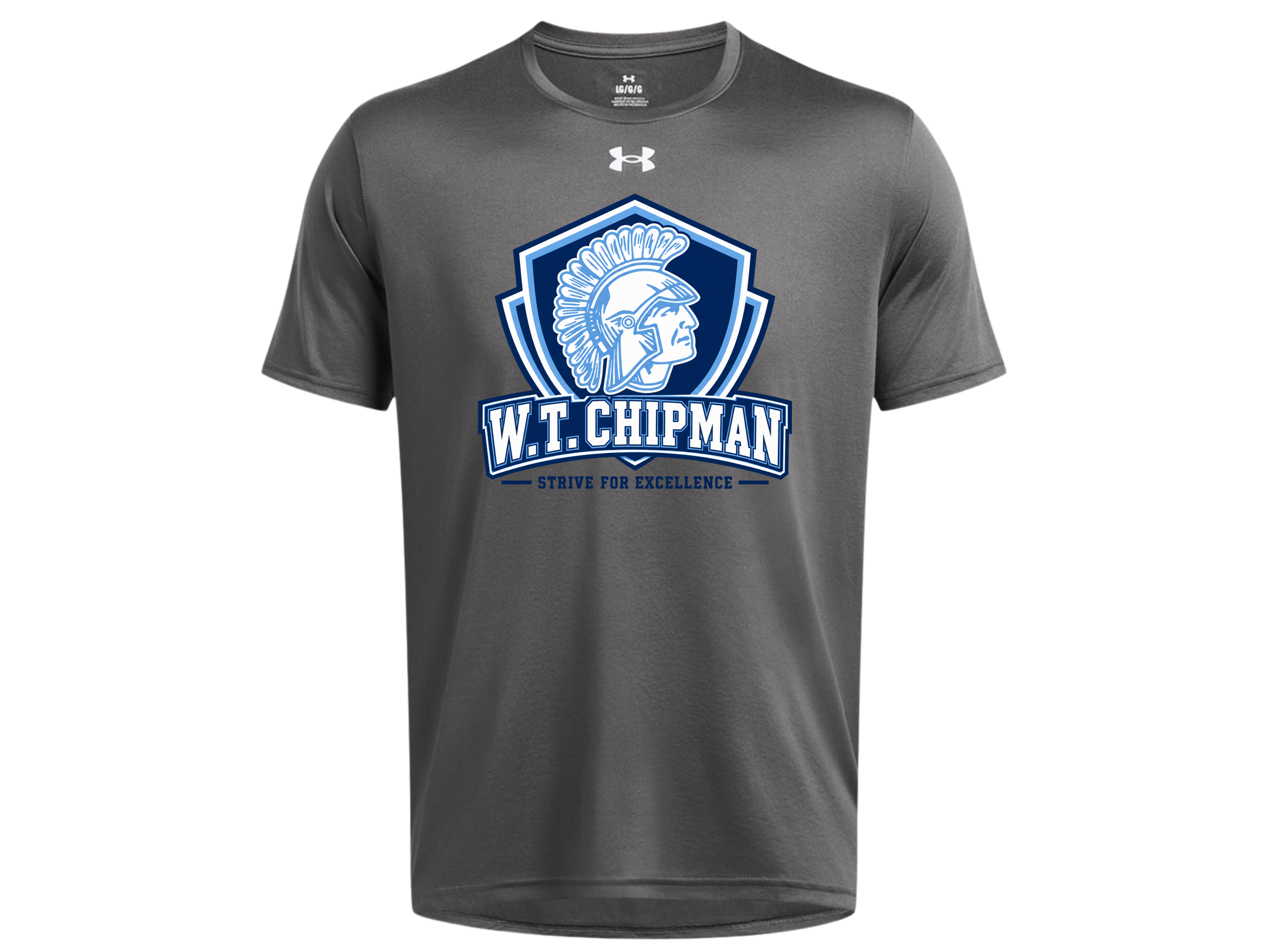 Chipman MS (18).png