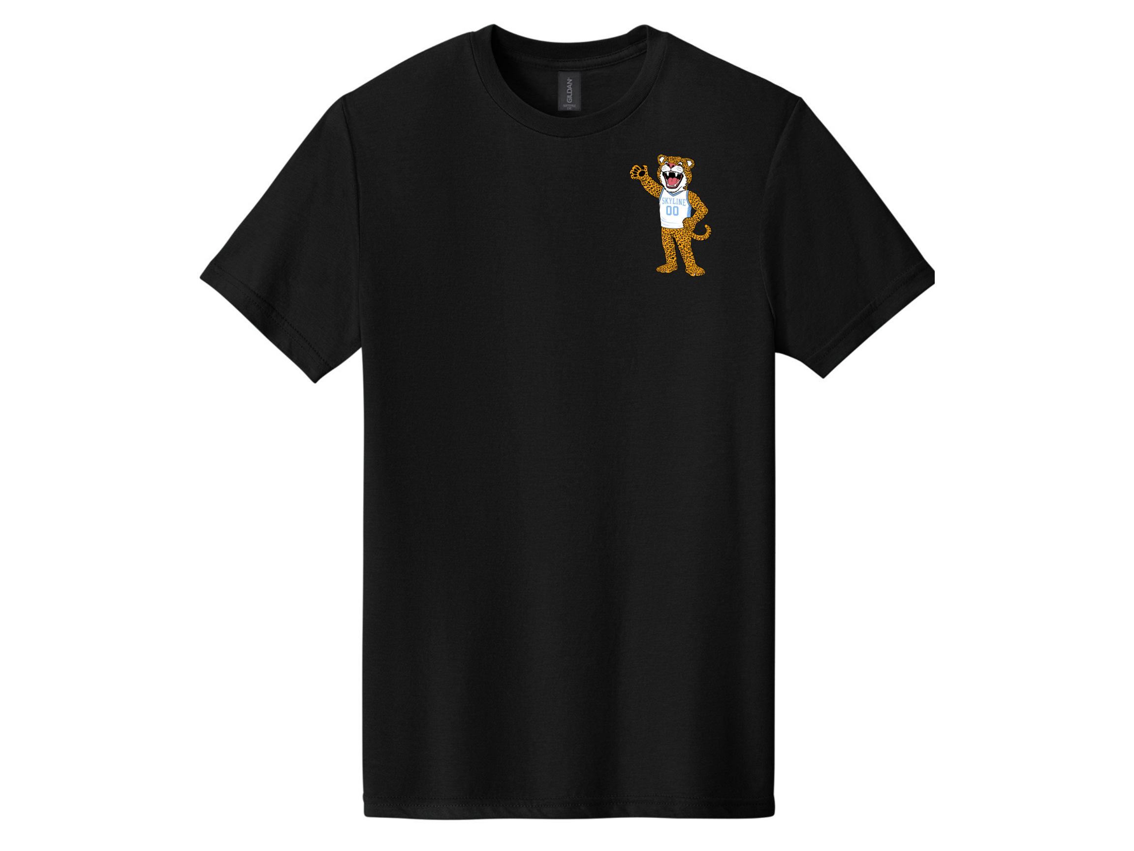 Skyline MS Store 2026 (68).png
