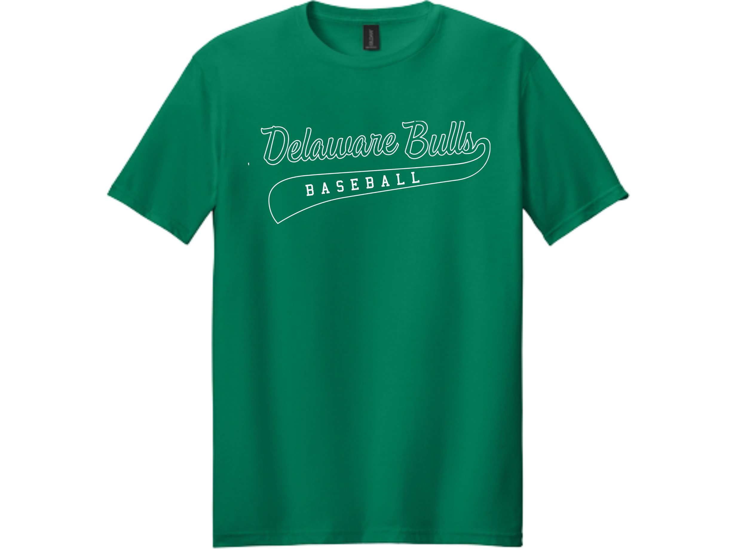 Delaware Bulls (23).png
