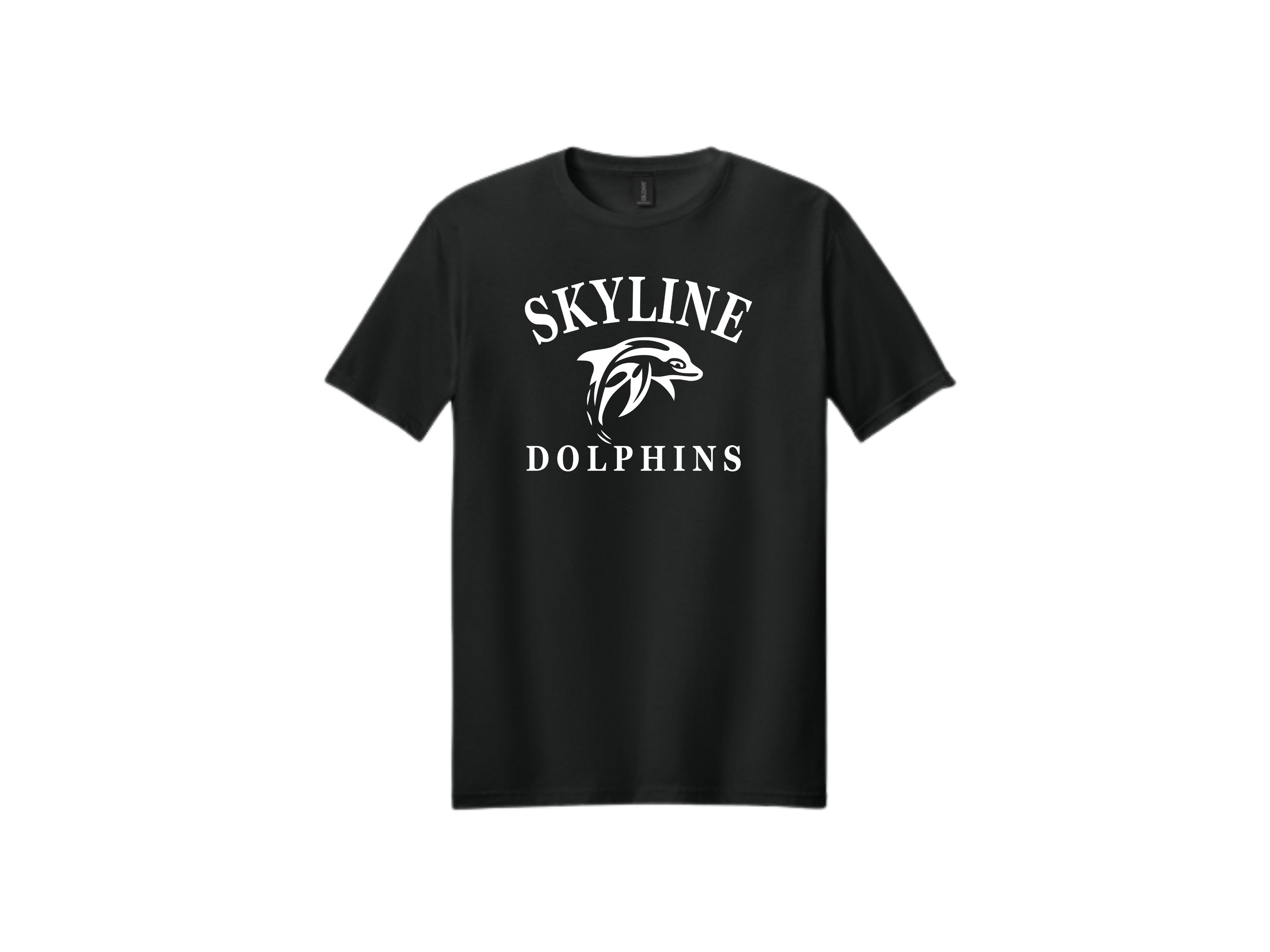 Skyline Swim Team (64).png