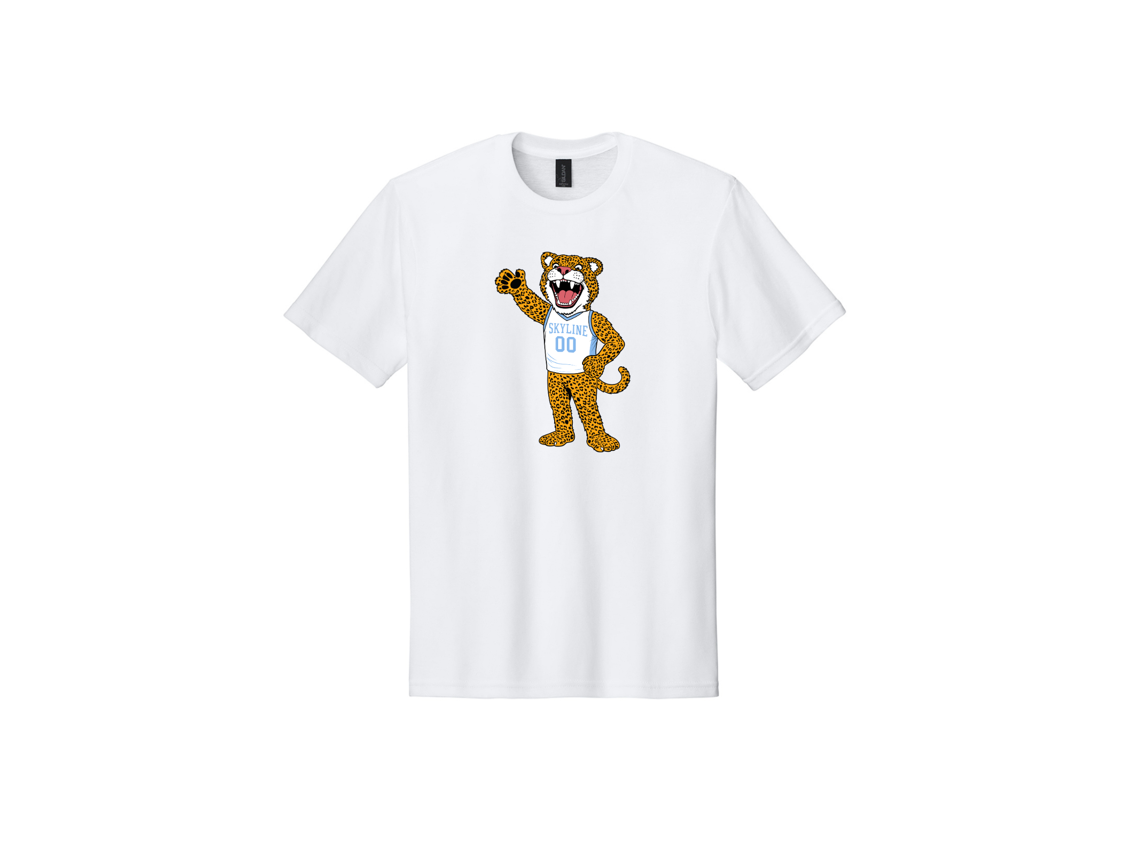 Skyline MS Store 2026 (18).png