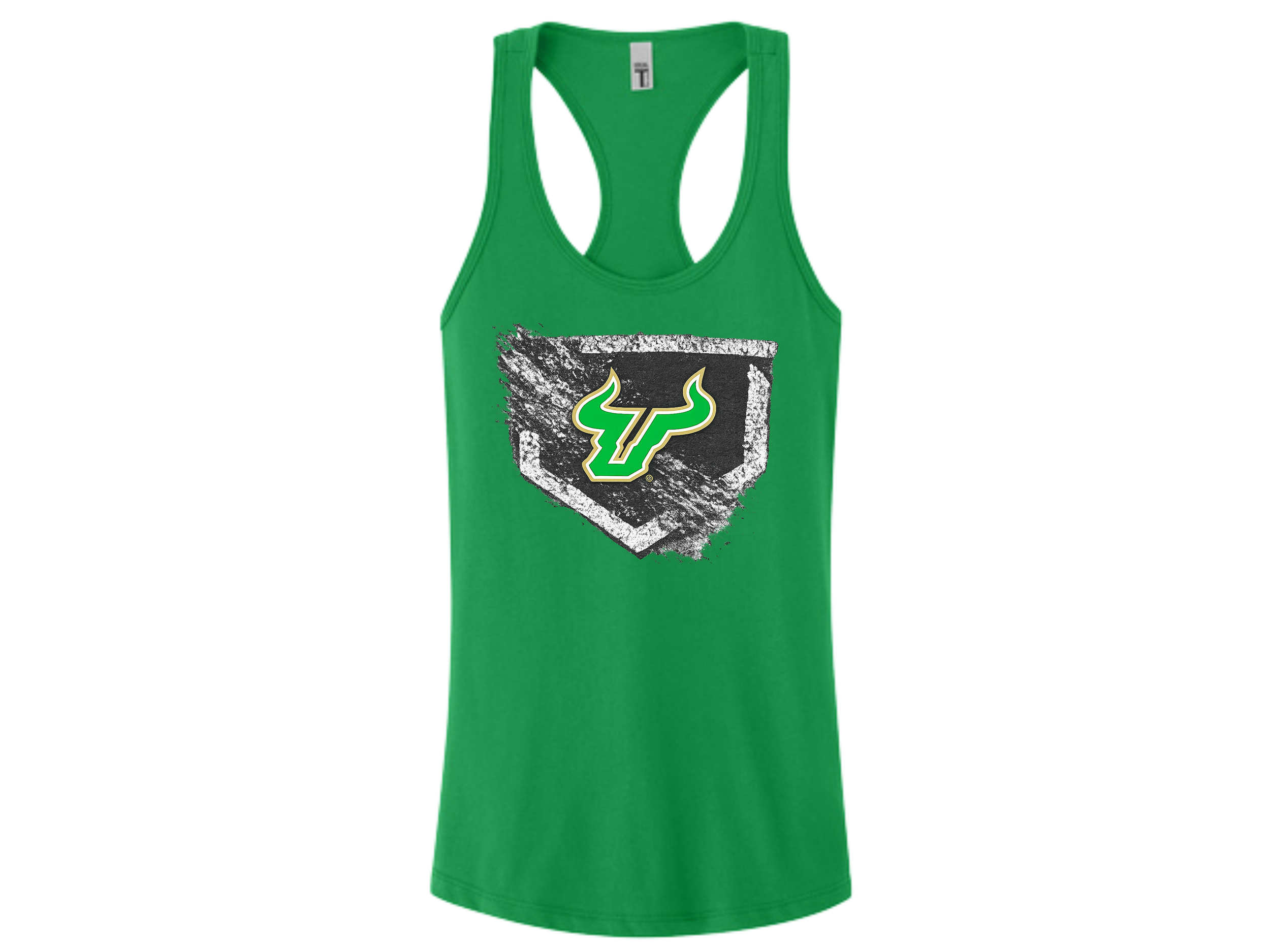 Delaware Bulls (24).png