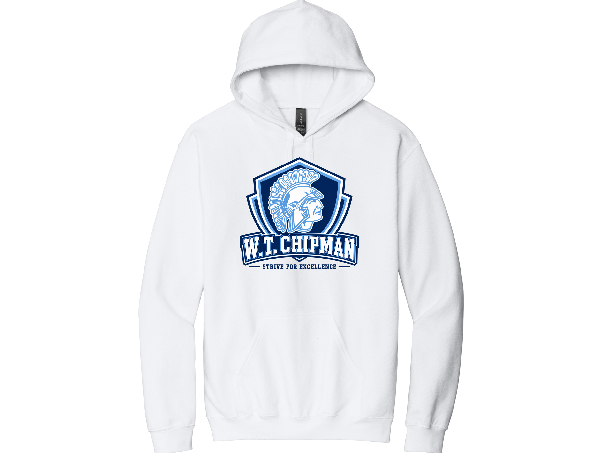 Chipman MS (24).png