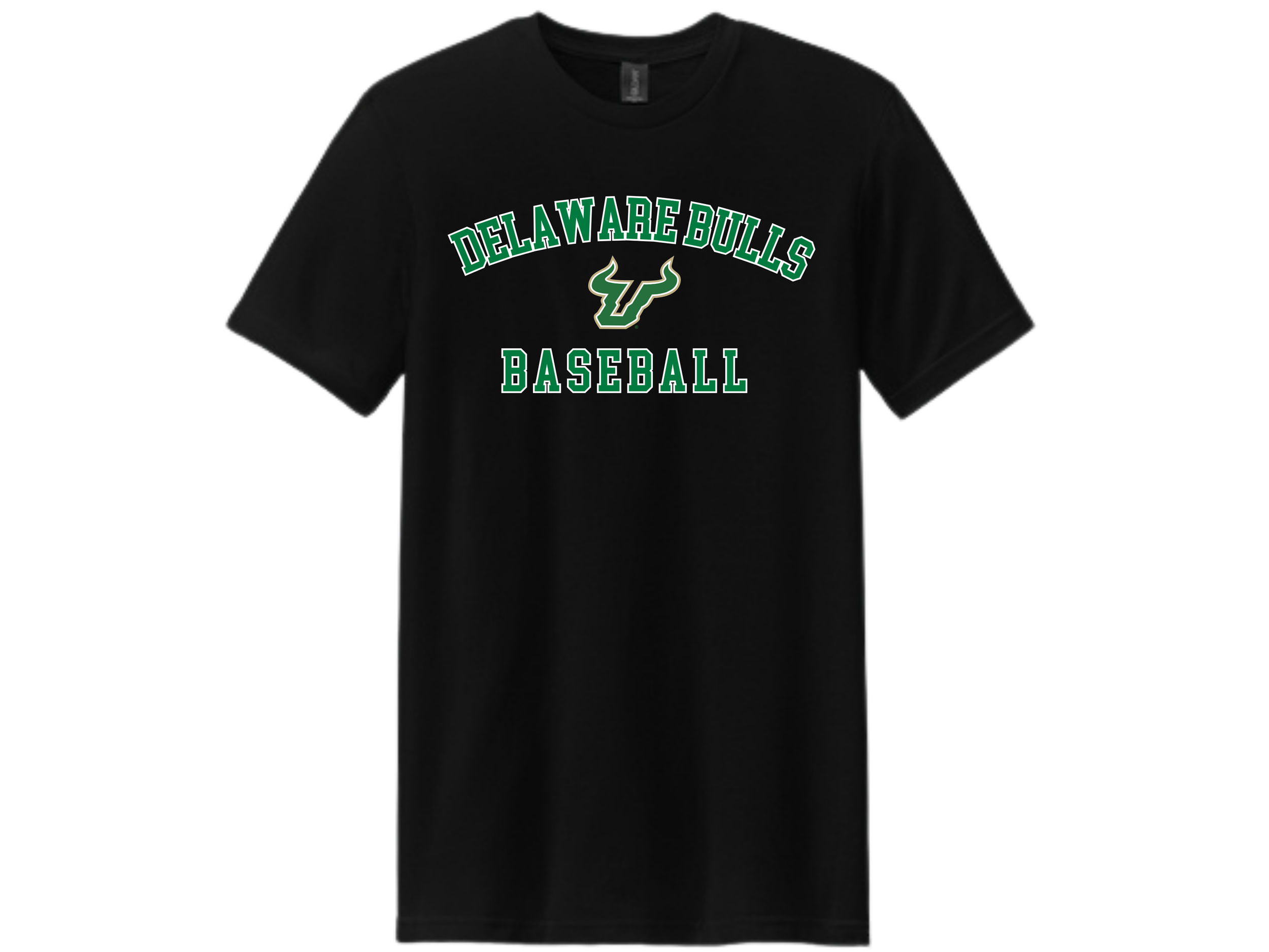 Delaware Bulls (47).png