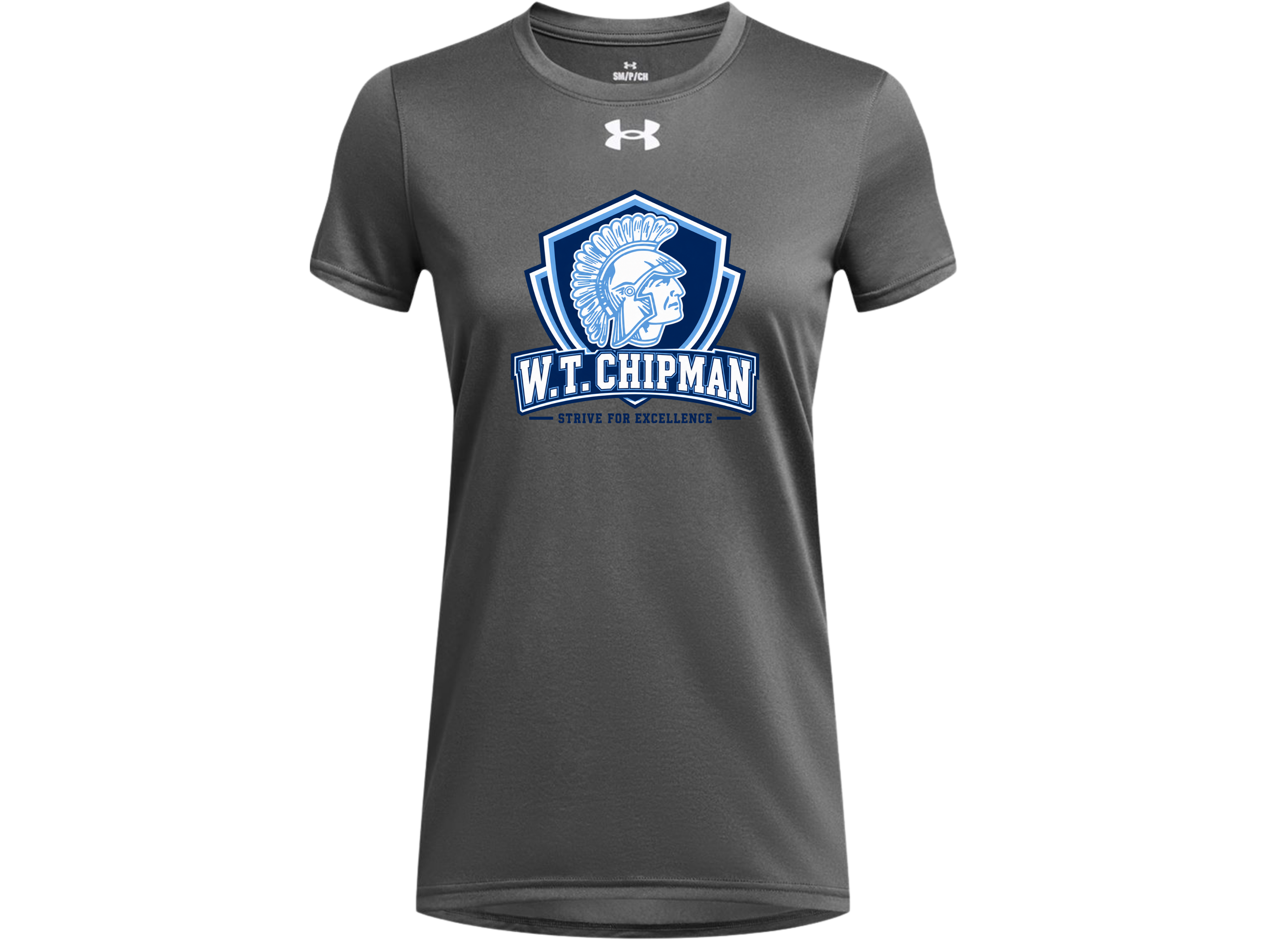 Chipman MS (16).png