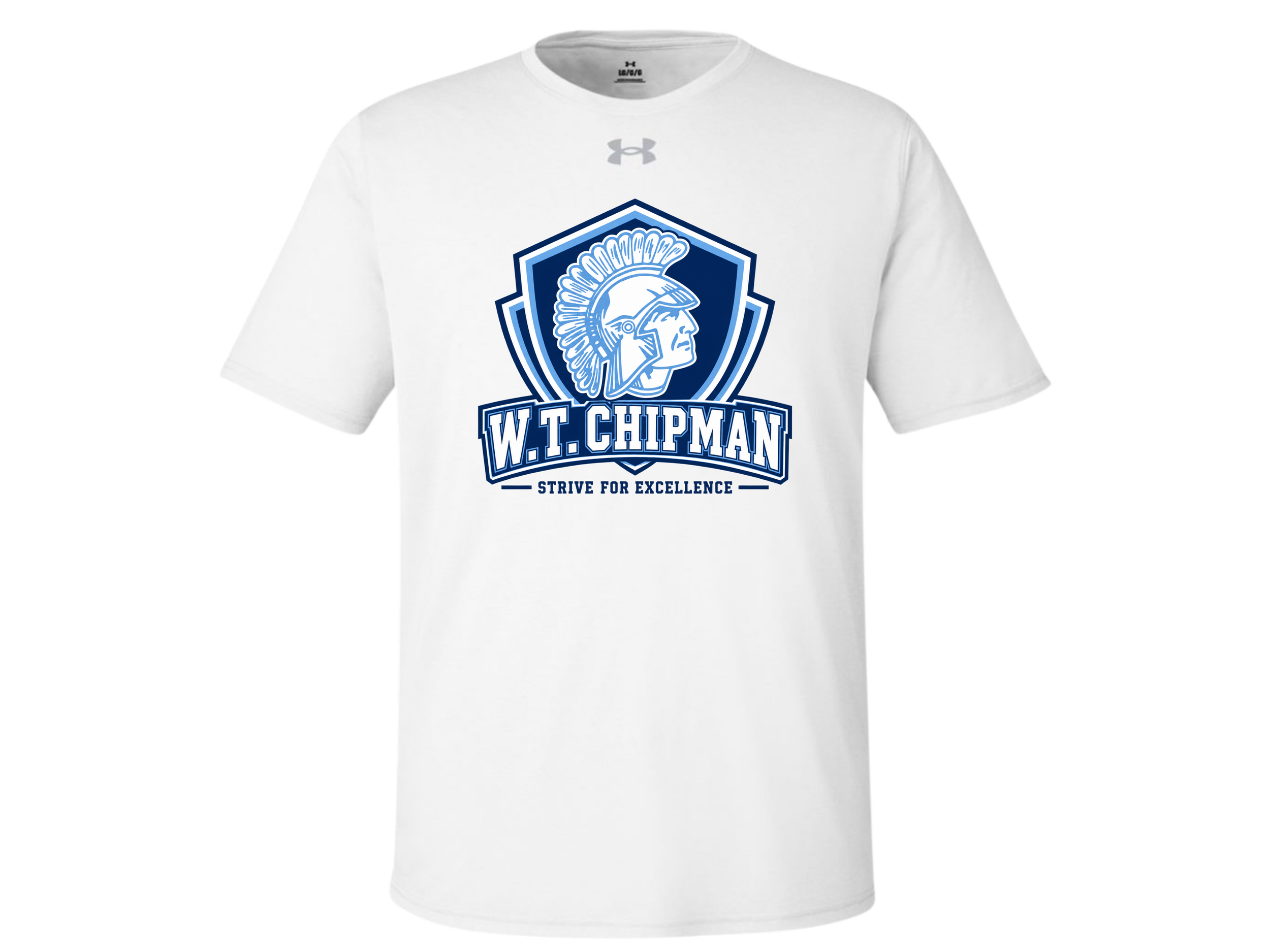 Chipman MS (19).png