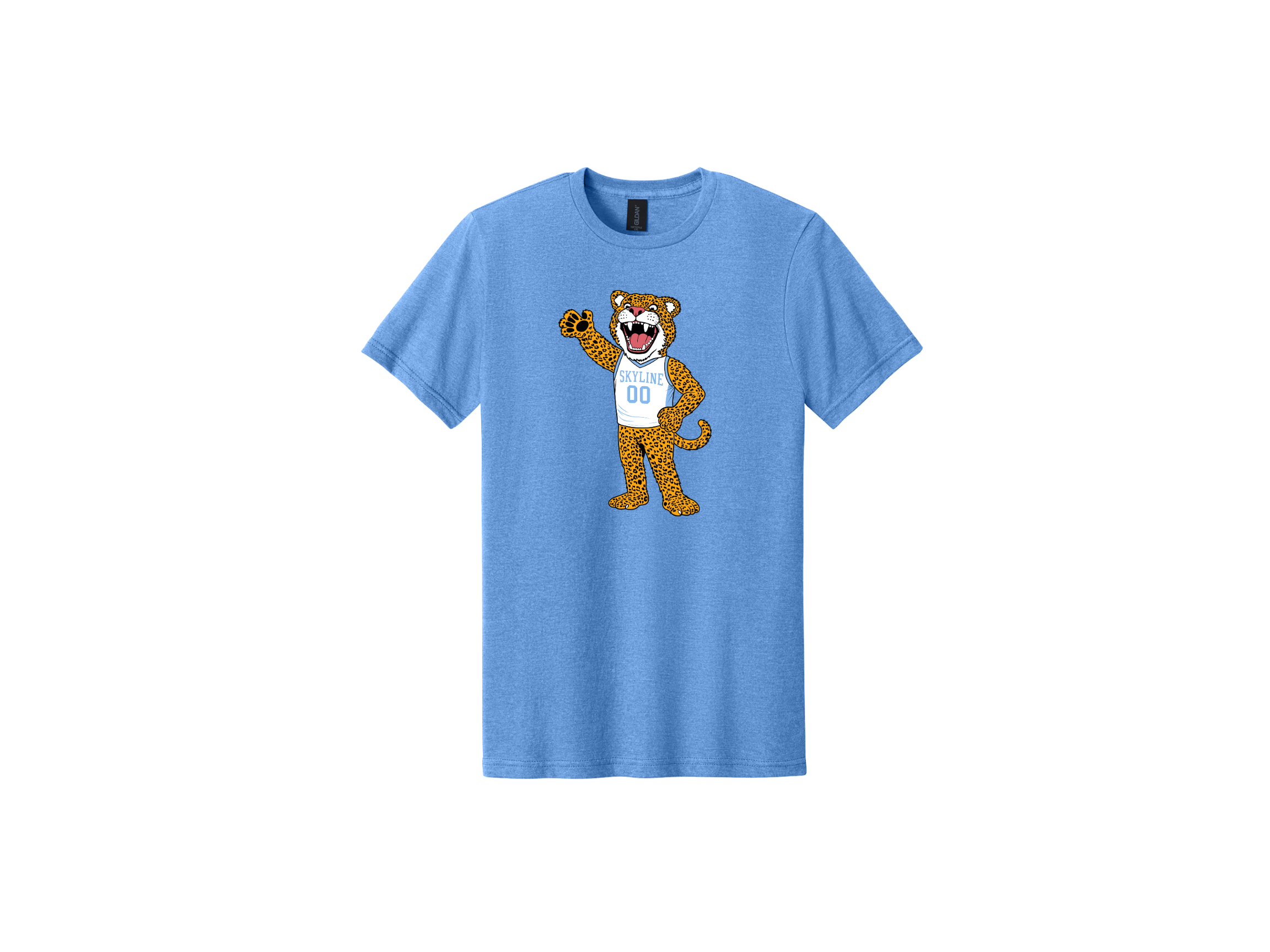 Skyline MS Store 2026 (21).png