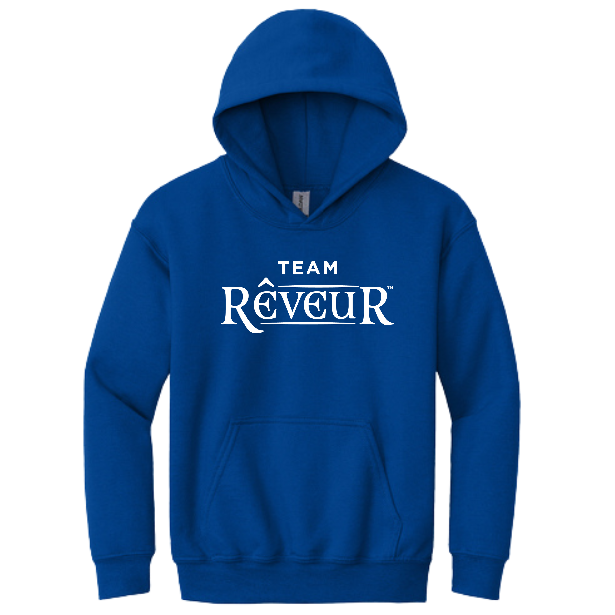Blades: HOUSE Reveaur (blue) Gildan Heavy Blend Hooded Sweatshirt