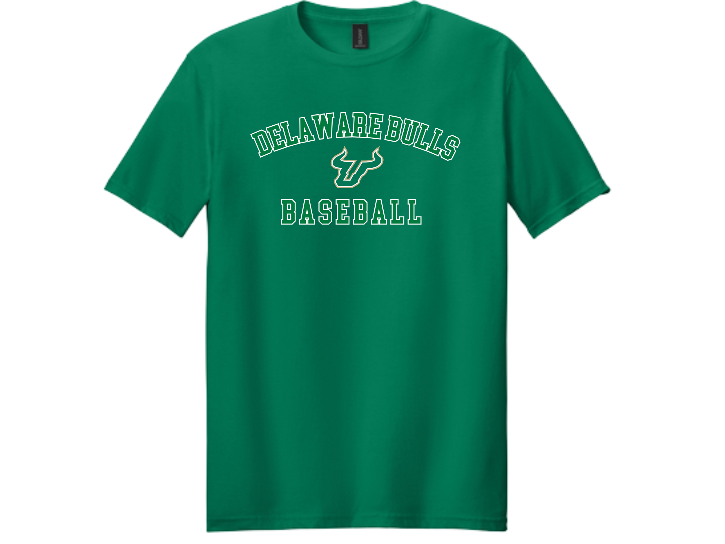 Delaware Bulls (46).png