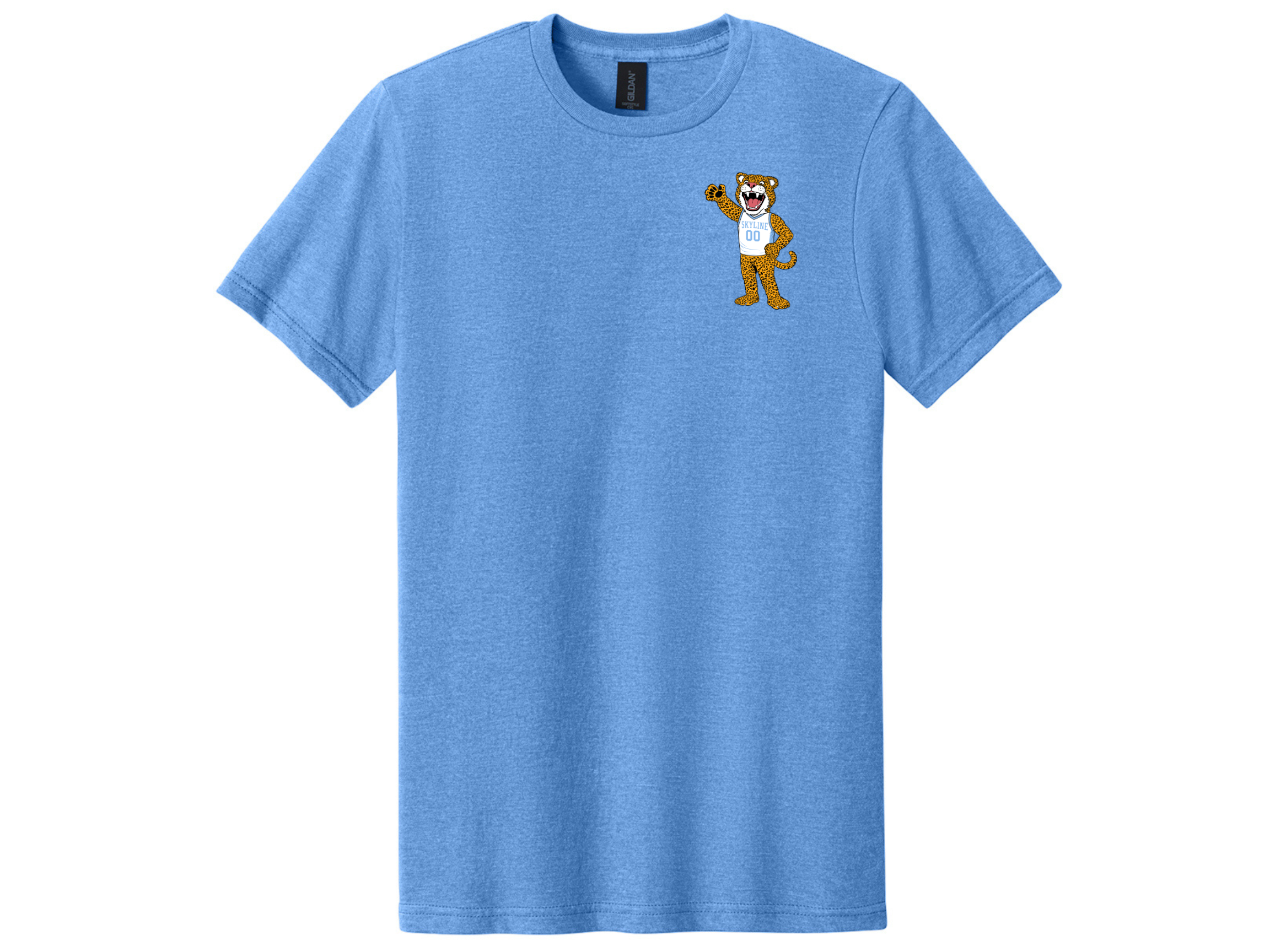 Skyline MS Store 2026 (69).png