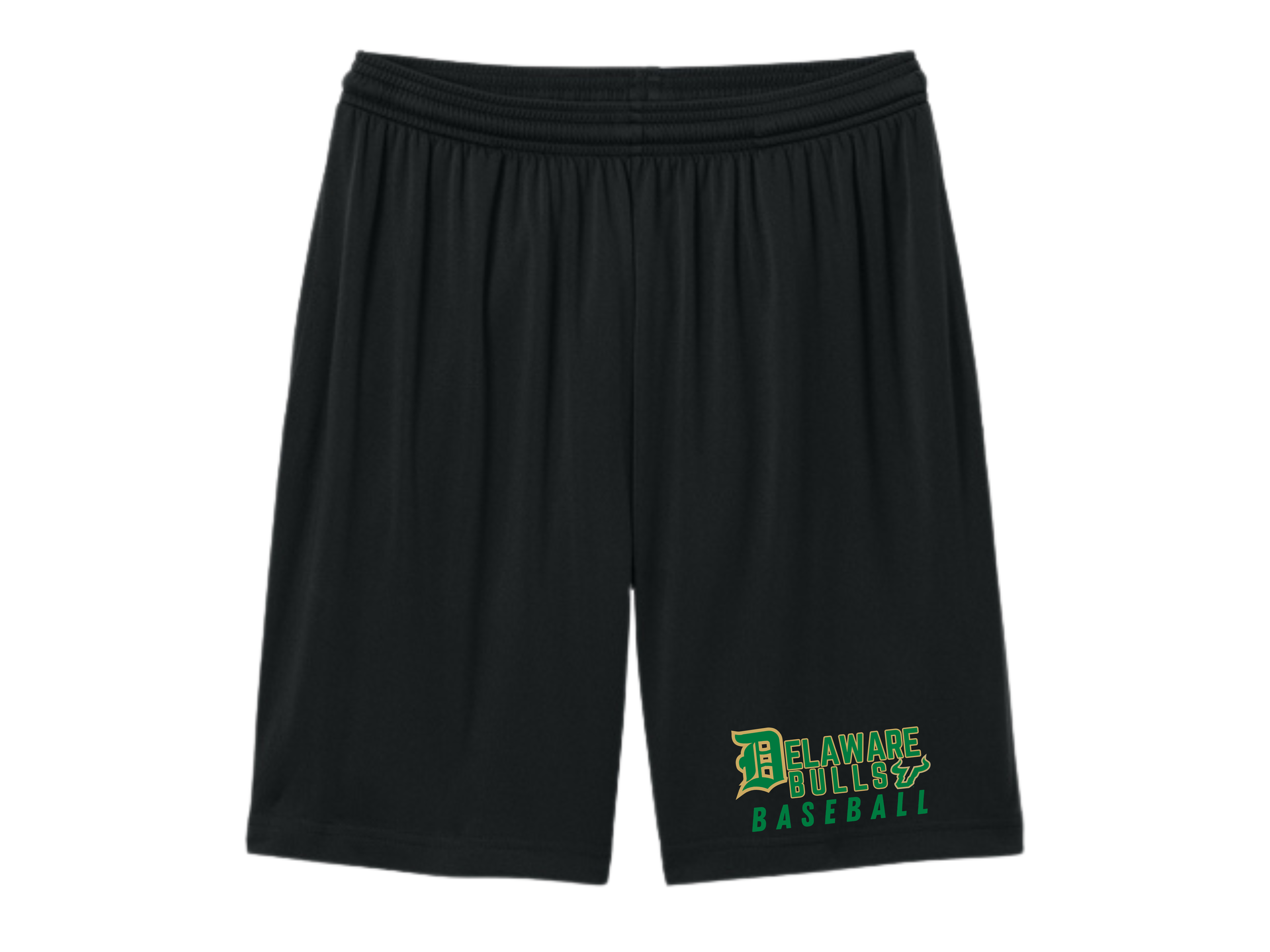 Delaware Bulls (3).png