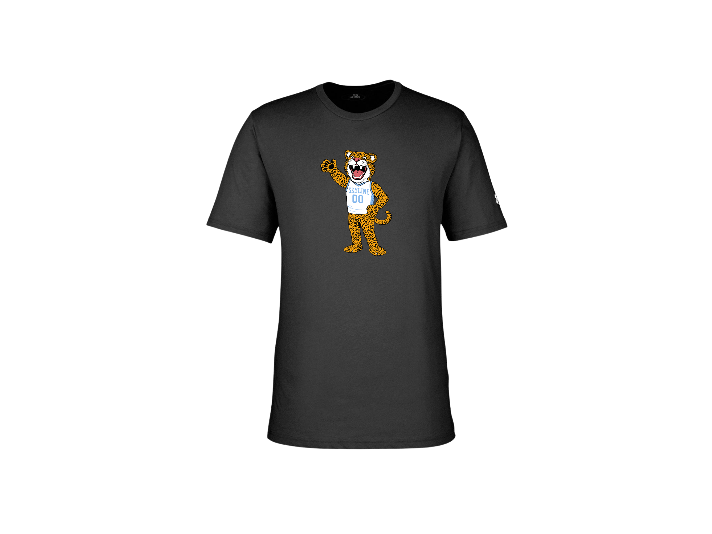 Skyline MS Store 2026 (15).png