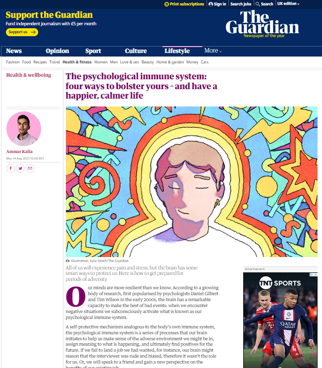 guardian screengrab.png