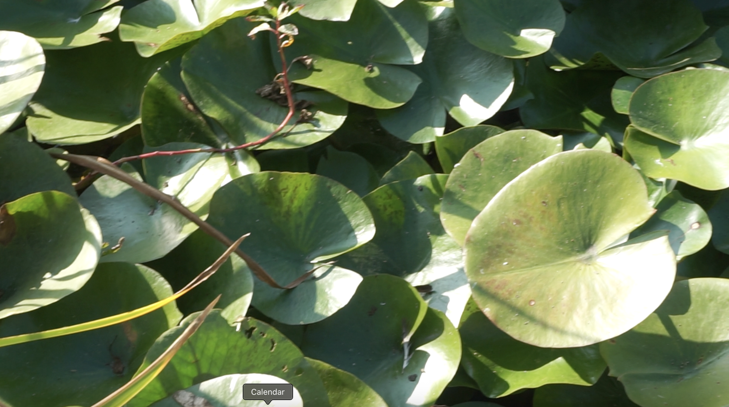 Screenshot 2026-02-26 at 10.07.32 AM.png