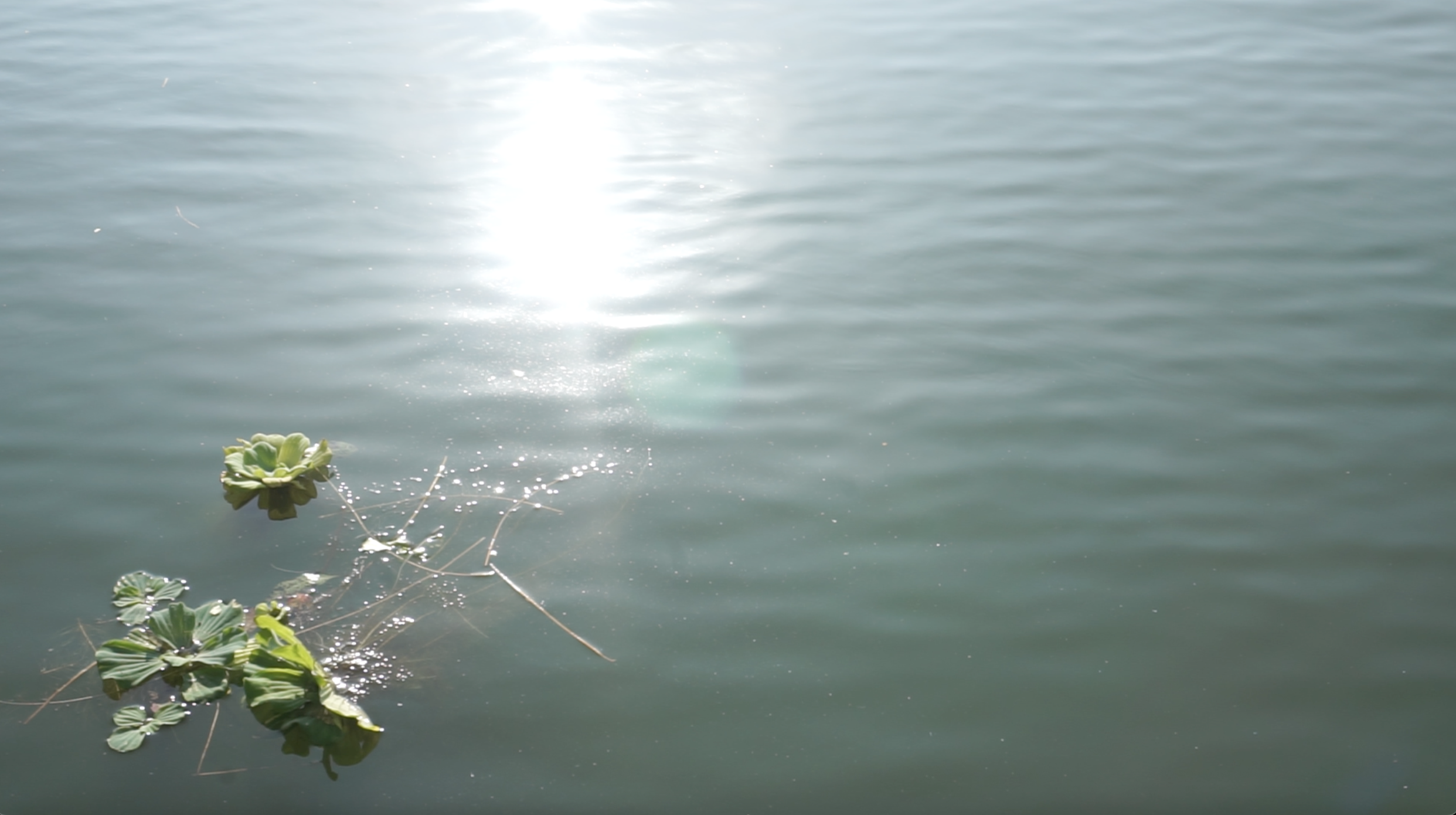 Screenshot 2026-02-26 at 10.08.26 AM.png