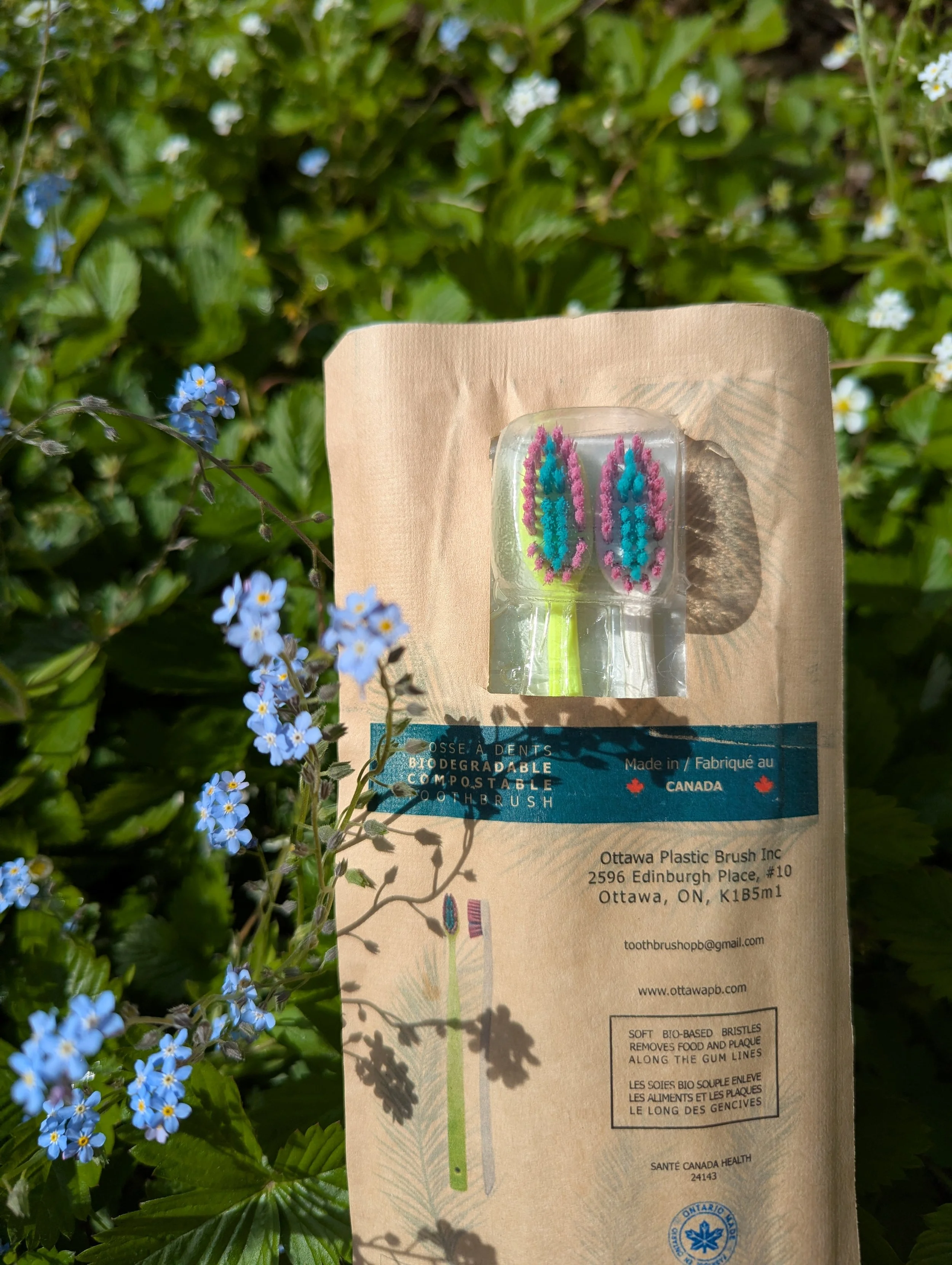 A package of biodegradable toothbrushes with colorful bristles, placed outdoors among green foliage and small blue flowers.