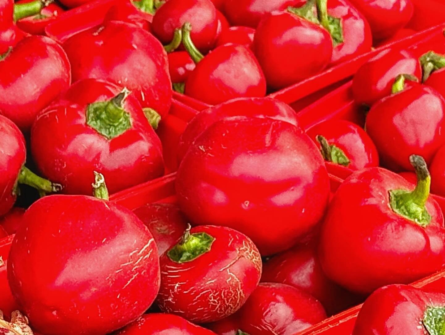 Our nurse Qing&rsquo;s happy place - Farmer&rsquo;s Market!

Sometimes, beauty lies in simplicity. 🌶️🍃 These vibrant reds and greens remind us that nature&rsquo;s palette is both bold and mature, effortlessly showcasing harmony in contrast.

Just a