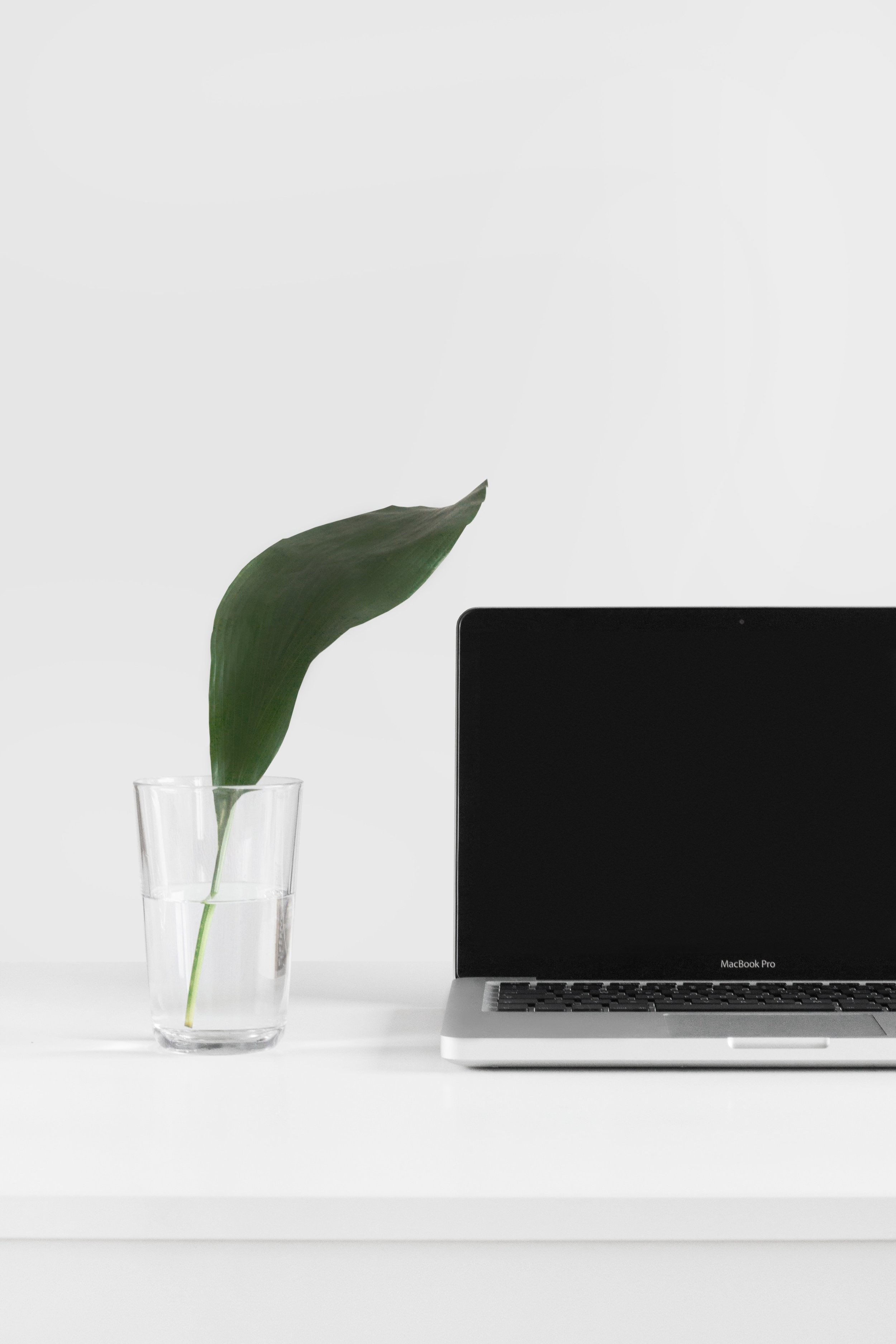 Embracing the Virtual Business Format: A New Age of Opportunity and Global Reach