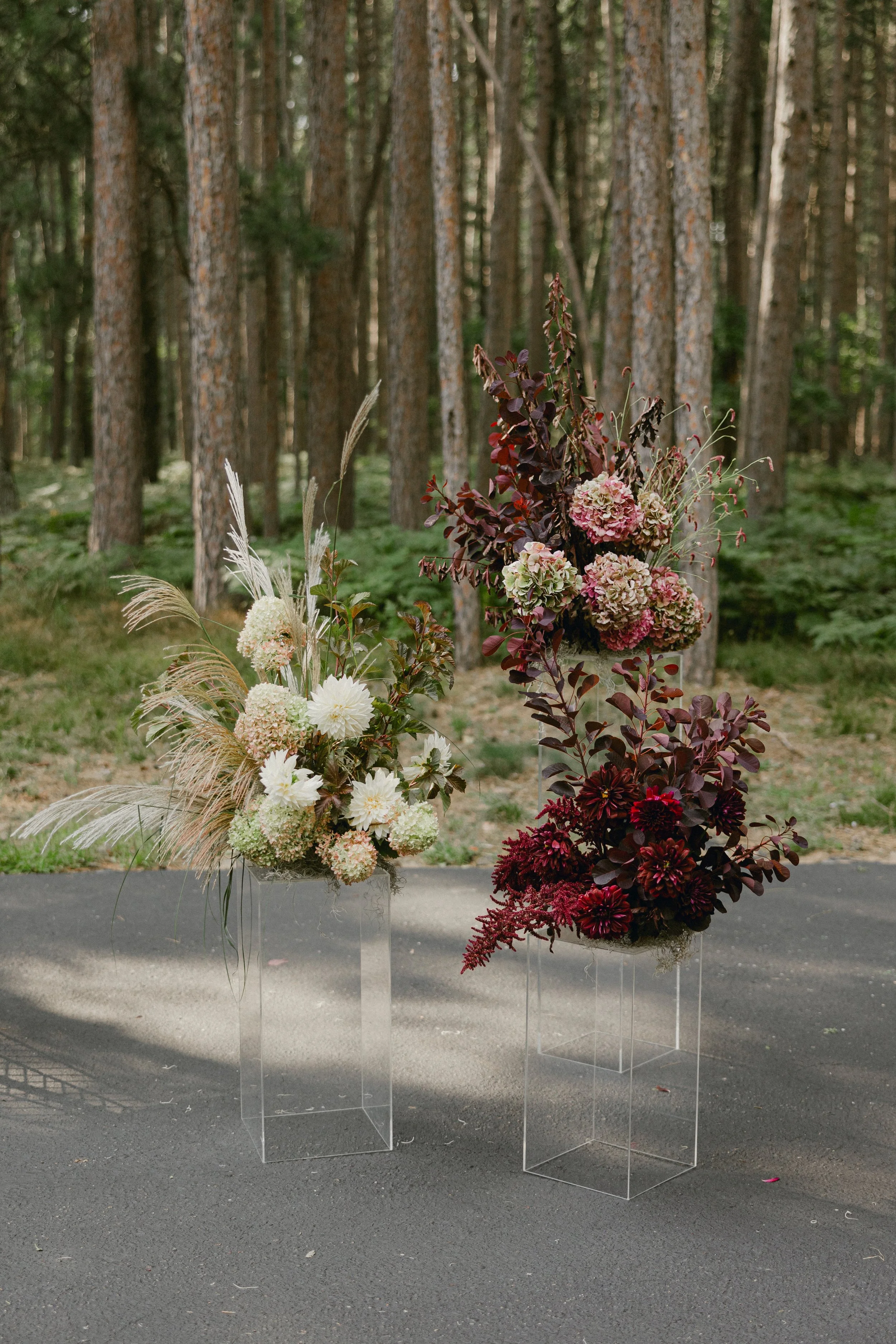 Madi & Zach on Digital Ceremony-2.jpg