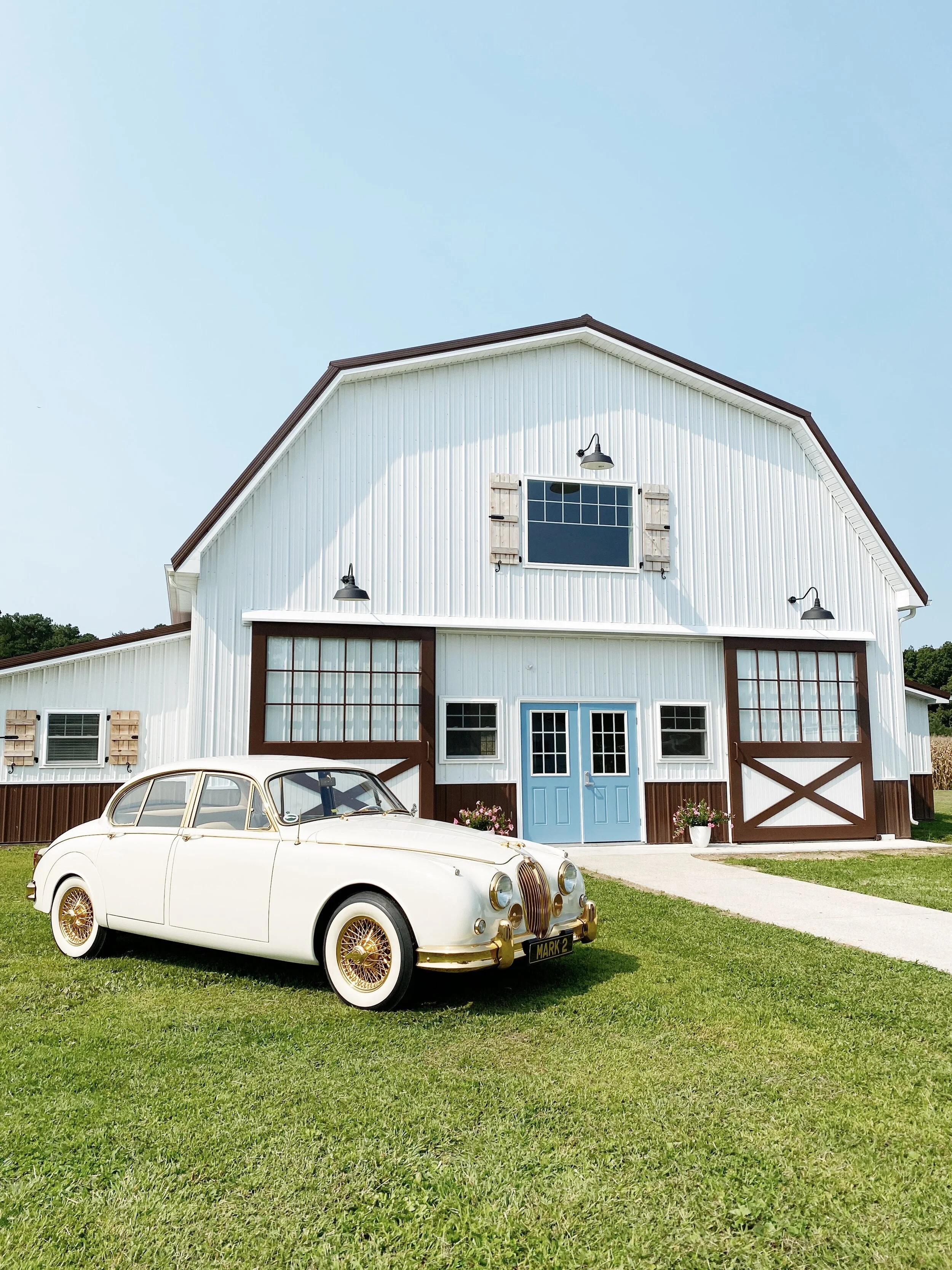 Loblolly-1.jpg