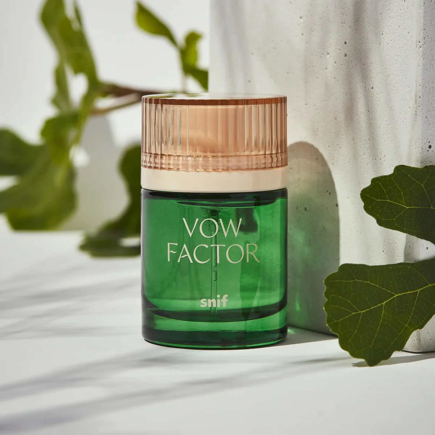 Snif-Vow Factor-Famm.jpg