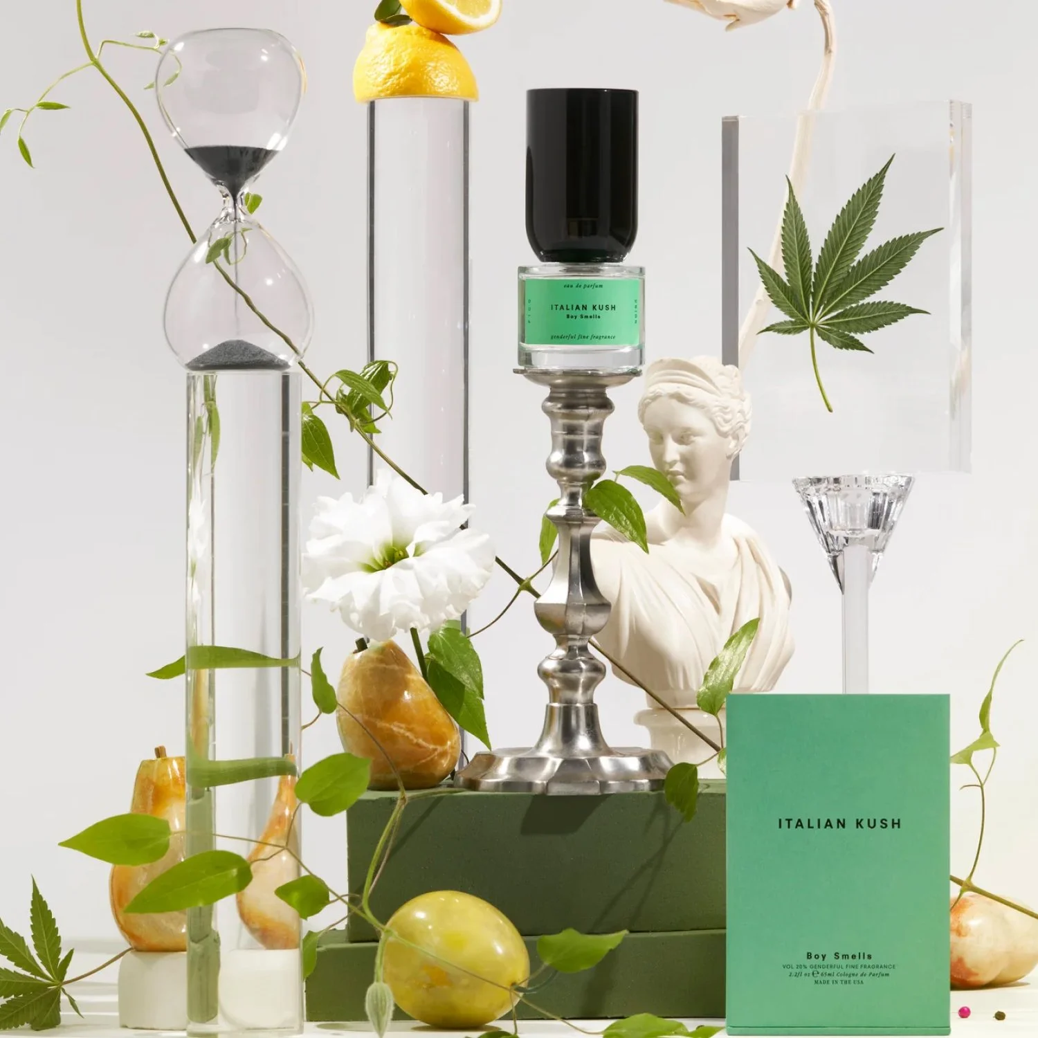 Boy Smells-Italian Cush-Famm.jpg