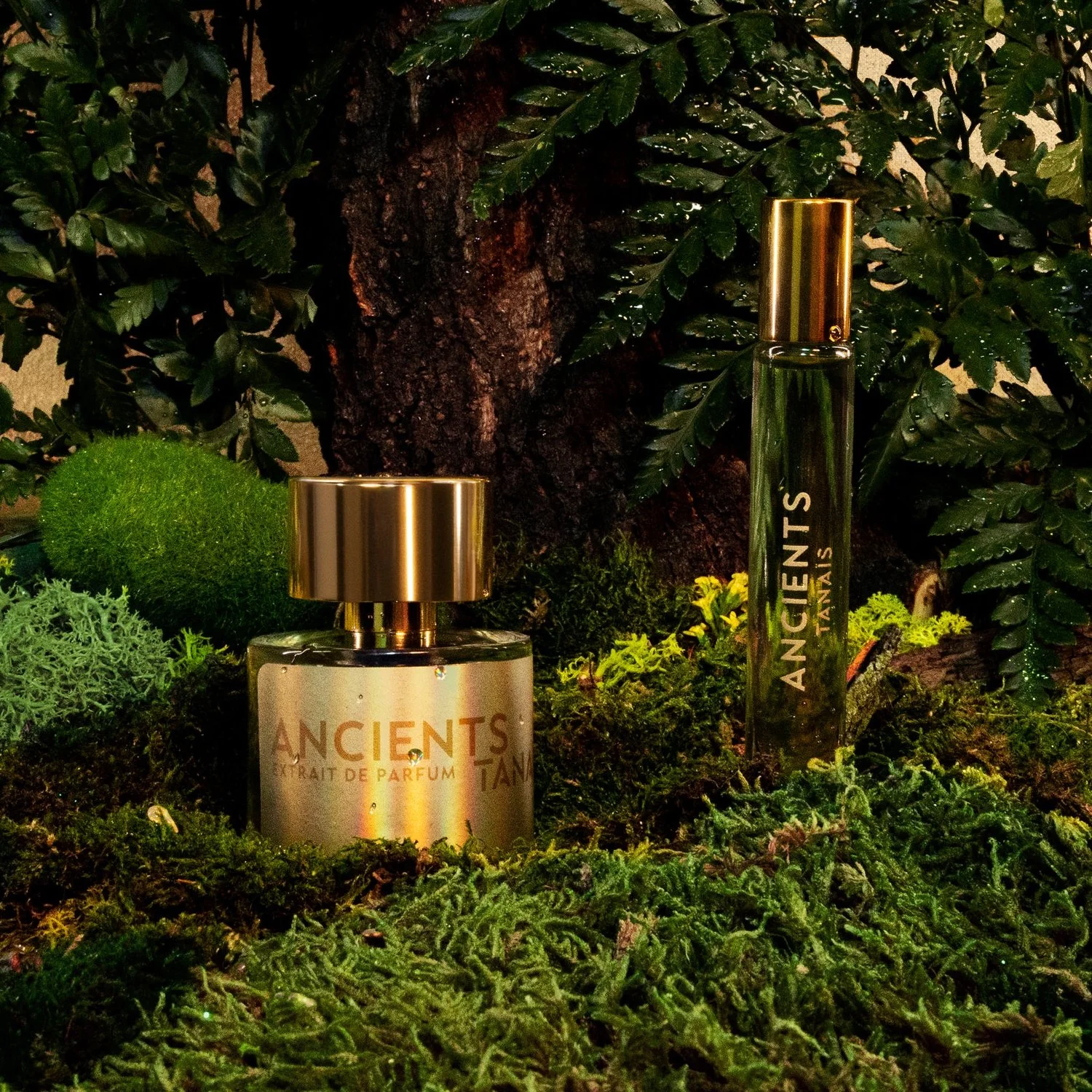 Tanais-Ancients Parfum-Famm.jpg