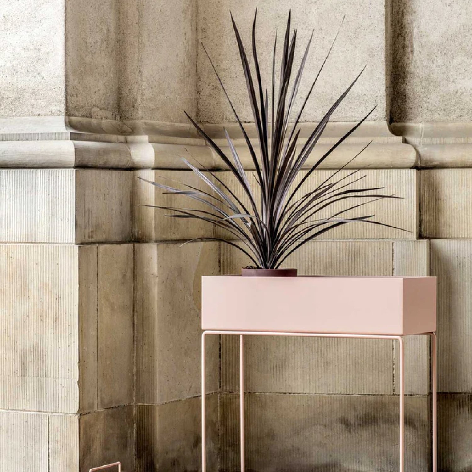 Trnk-Plant Boxes-Famm.jpg