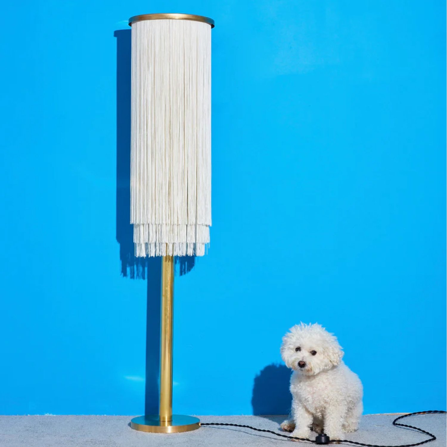 Coming Soon-Fringe Floor Lamp-Famm.jpg