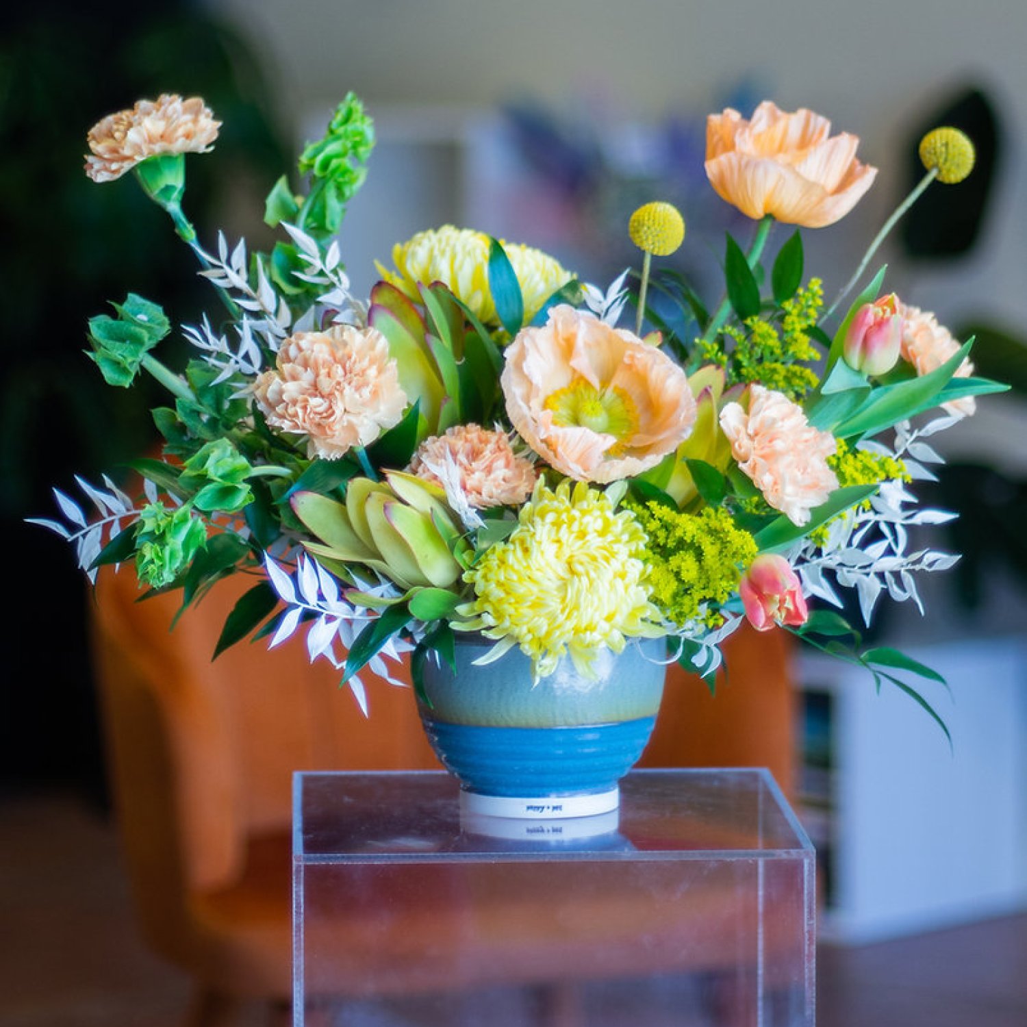 Poppy and Pot-The Poppy Pot-Famm.jpg