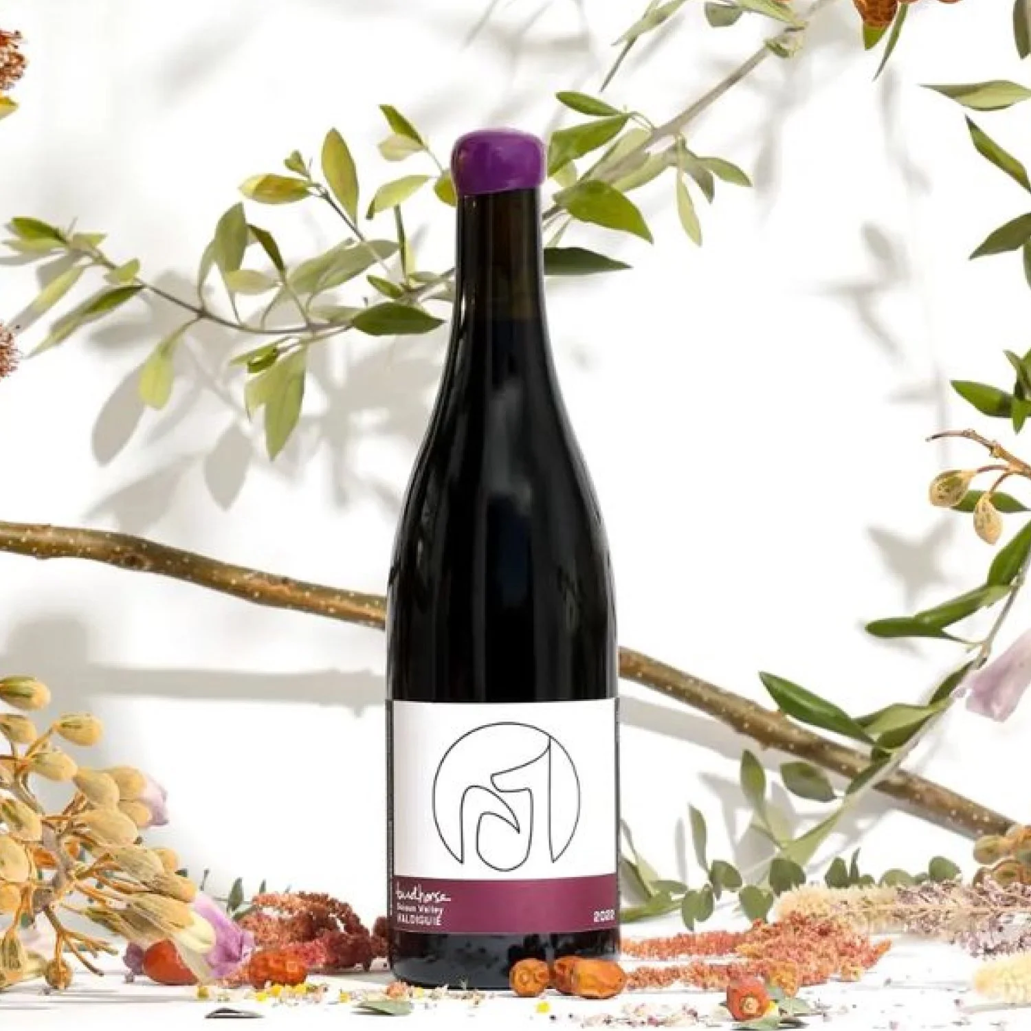 Birdhorse Wines-2022 Suisun Valley Valdiguie-Famm.jpg