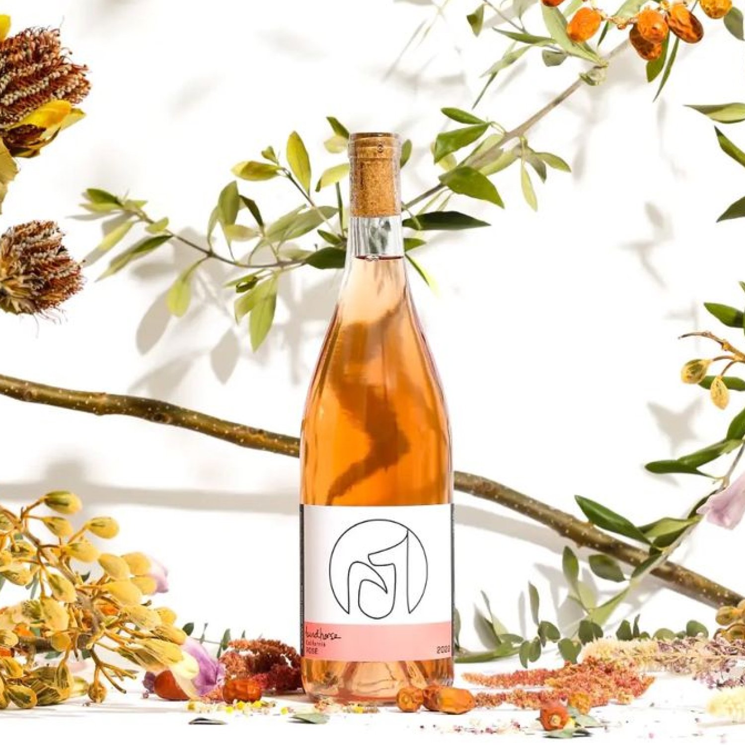 Birdhorse Wines-2022 California Rosé-Famm.jpg