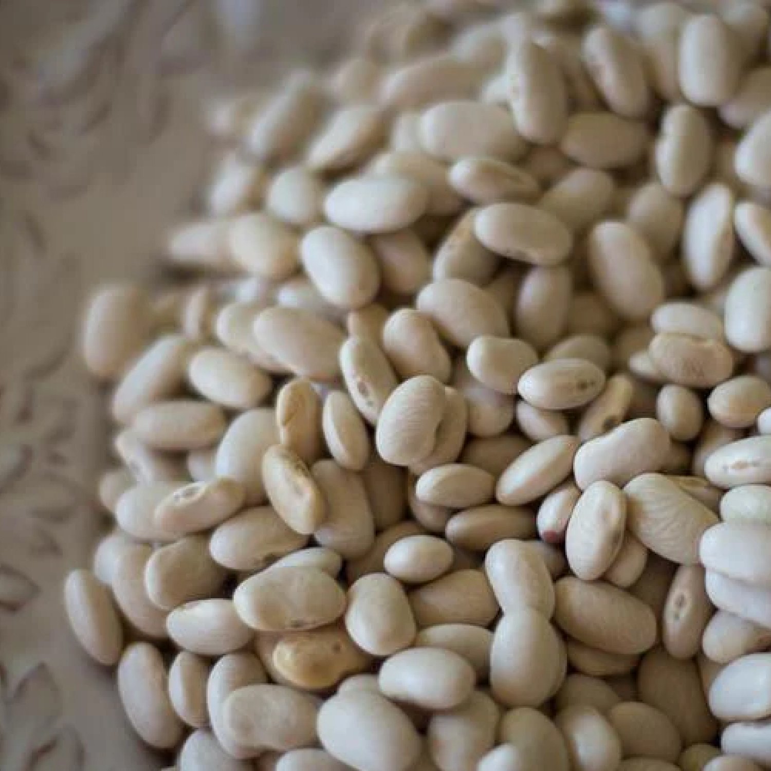 Rancho Gordo-ALUBIA BLANCA BEAN-Famm.jpg