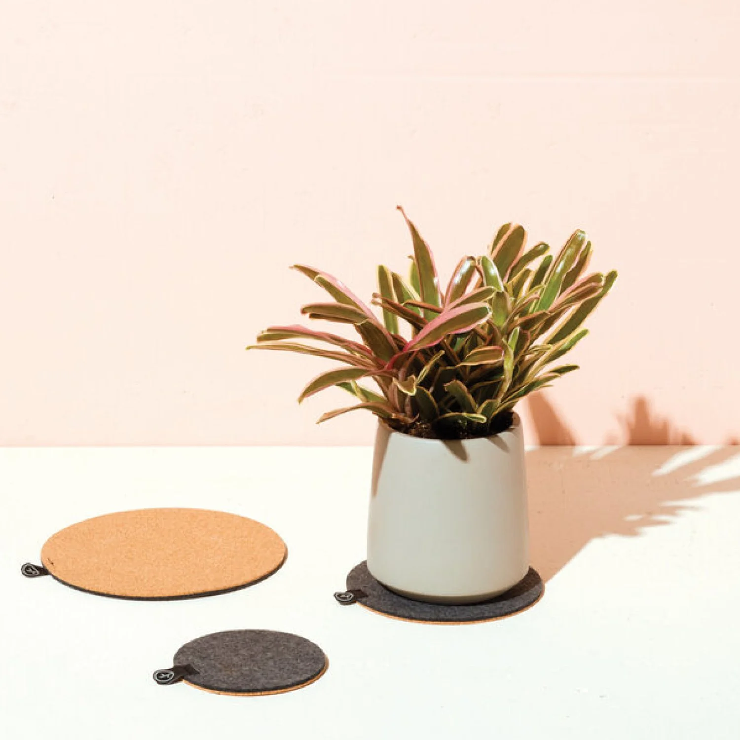 The Plant Gays - plant trivet - 5%22 - Famm.jpg