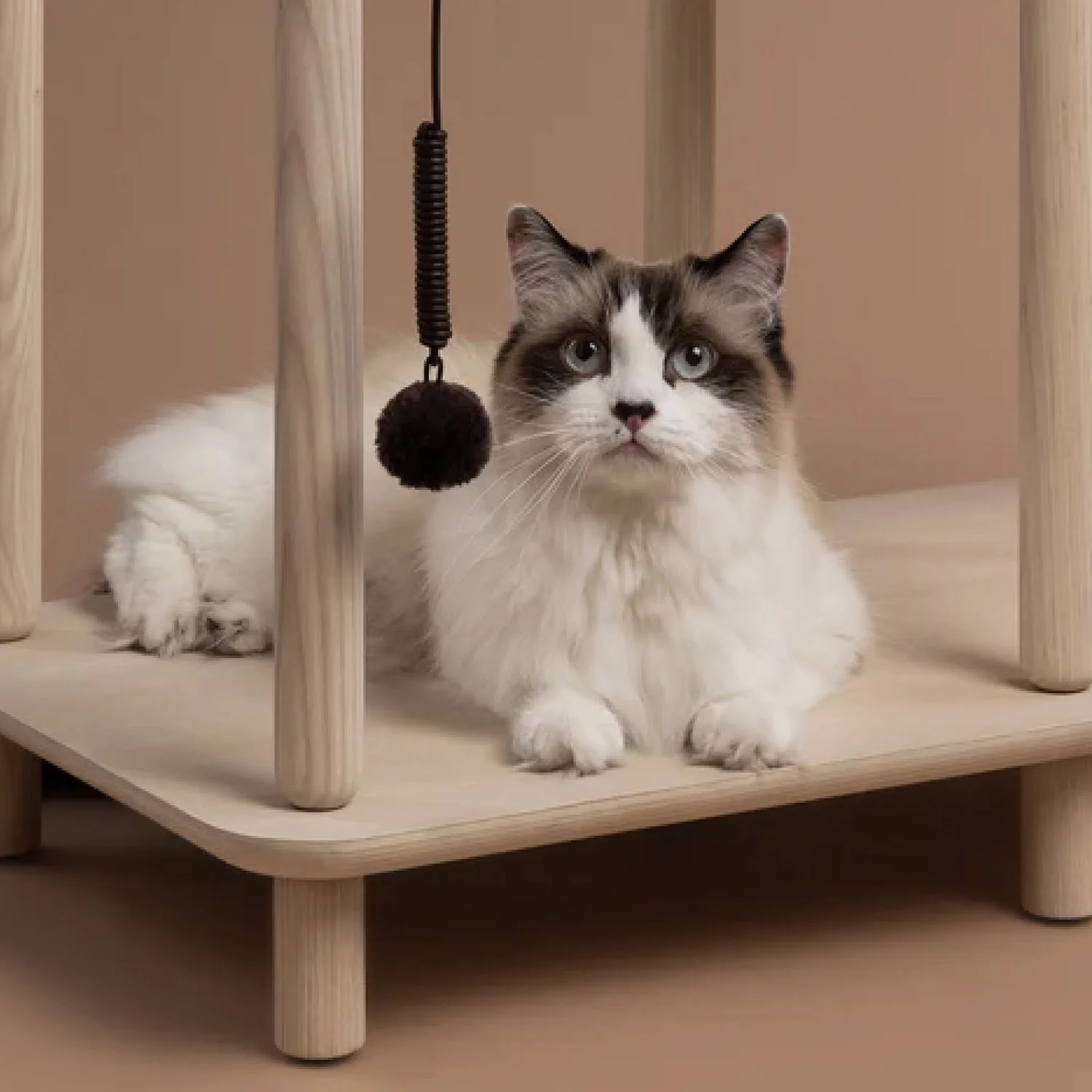 Papuk-Connect Tree 2-Famm.jpg