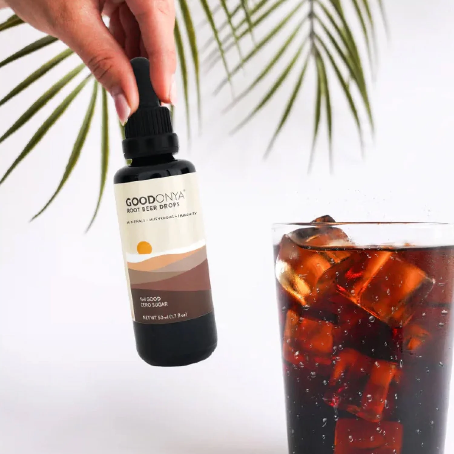 Goodonya-HERBAL SODA-MINERAL ROOT BEER-Famm.jpg