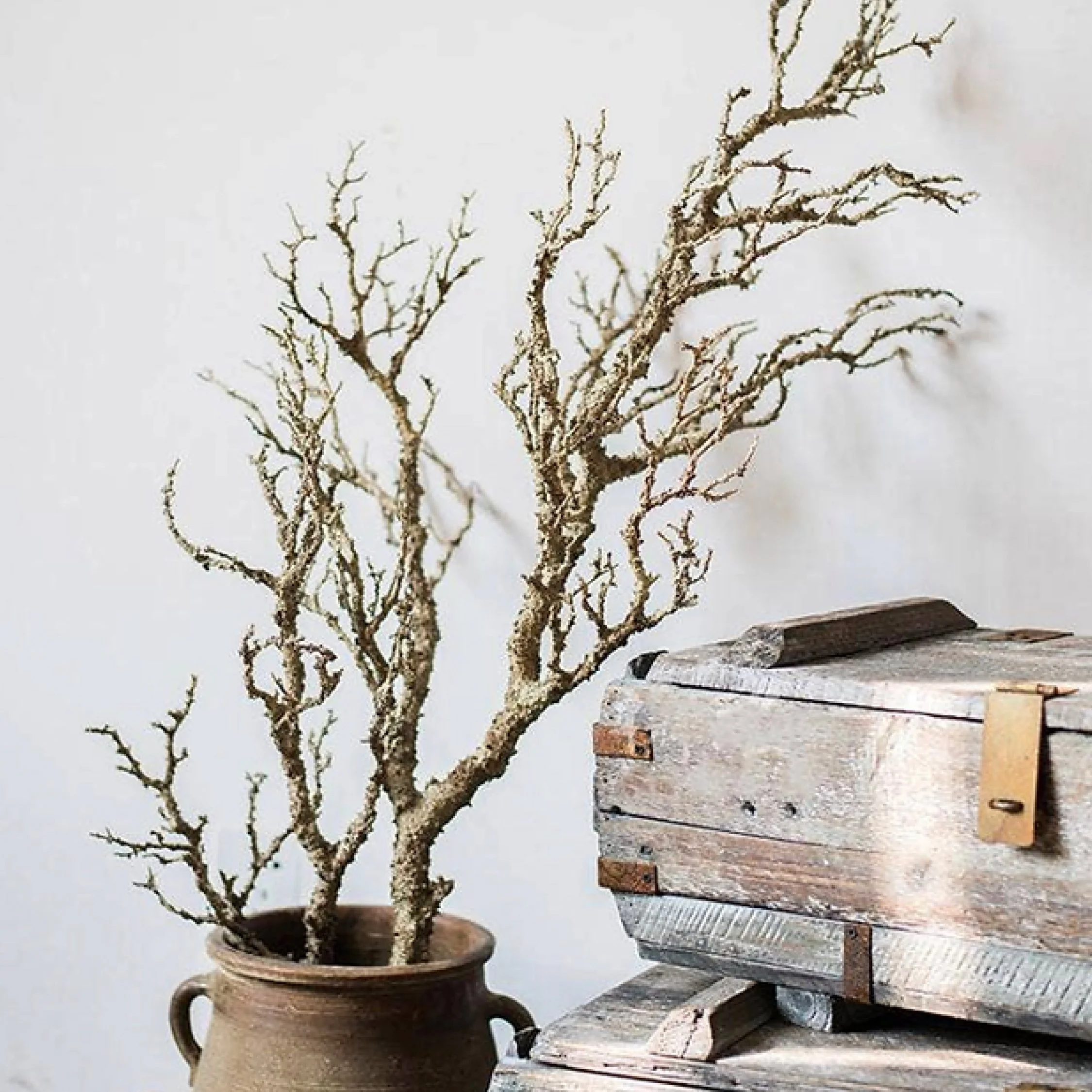 The Commonwealth Home - Lifestyle 2-Famm.jpg