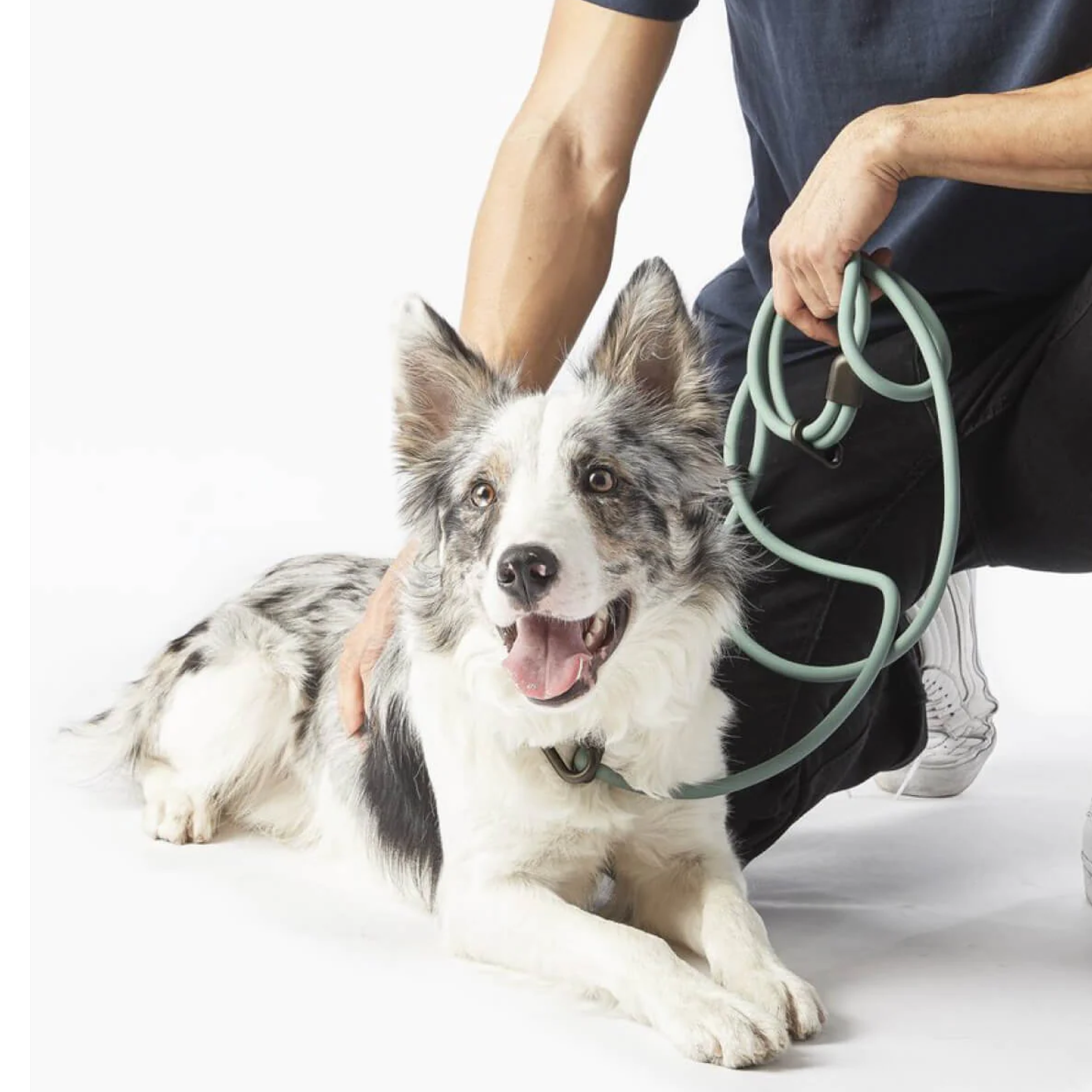 Fable Pets-Product3-Famm@2x.png