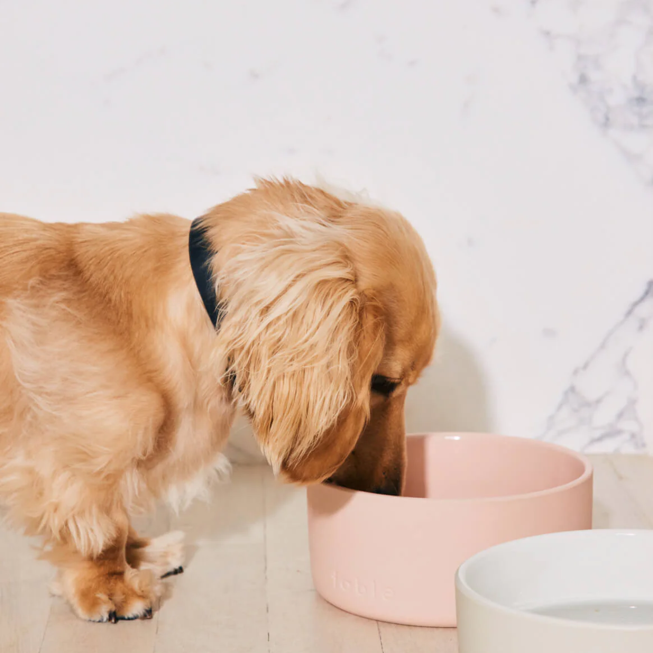 Fable Pets-Product 2-Famm@2x.png