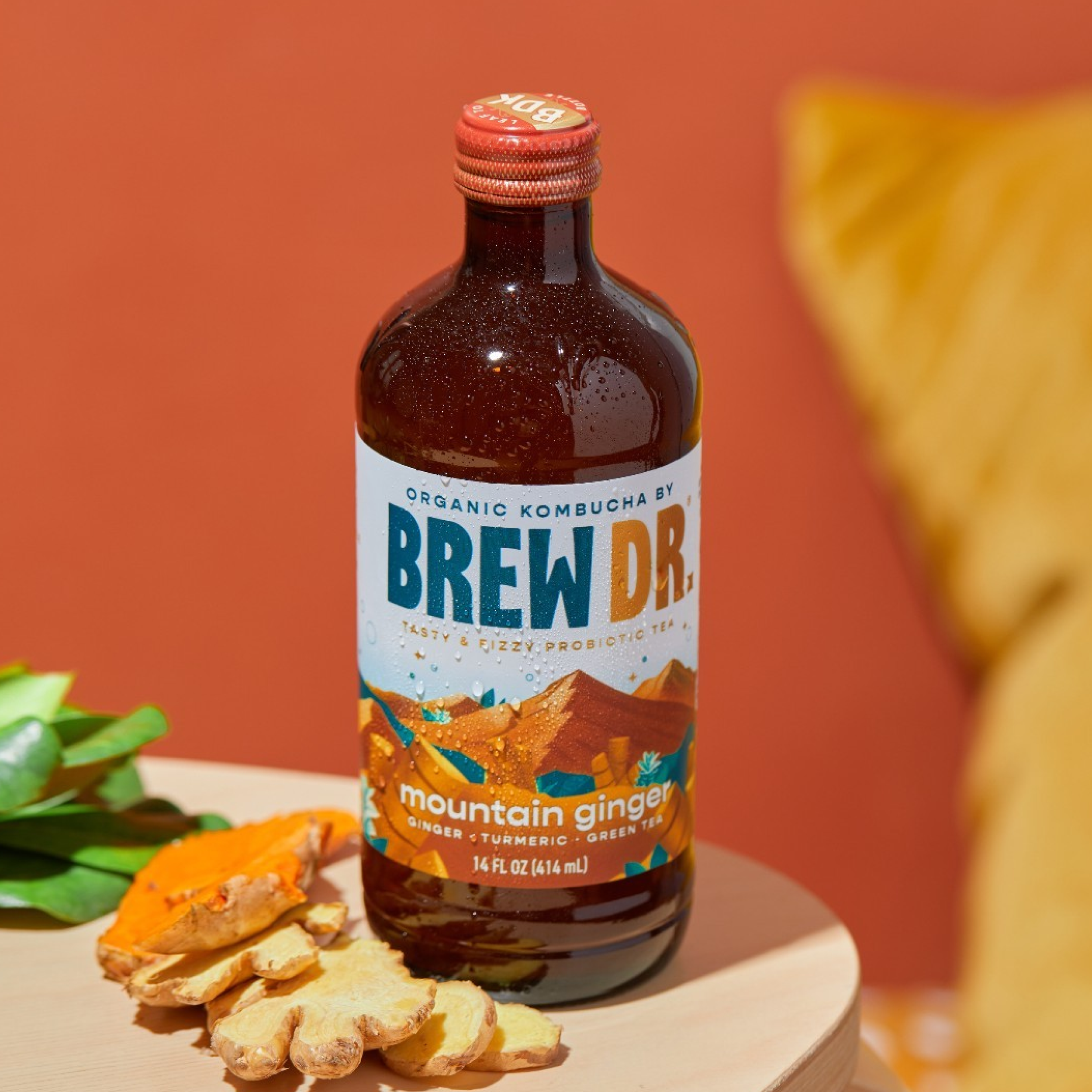 Brew Dr Kombucha-Product 3-Famm@2x.png