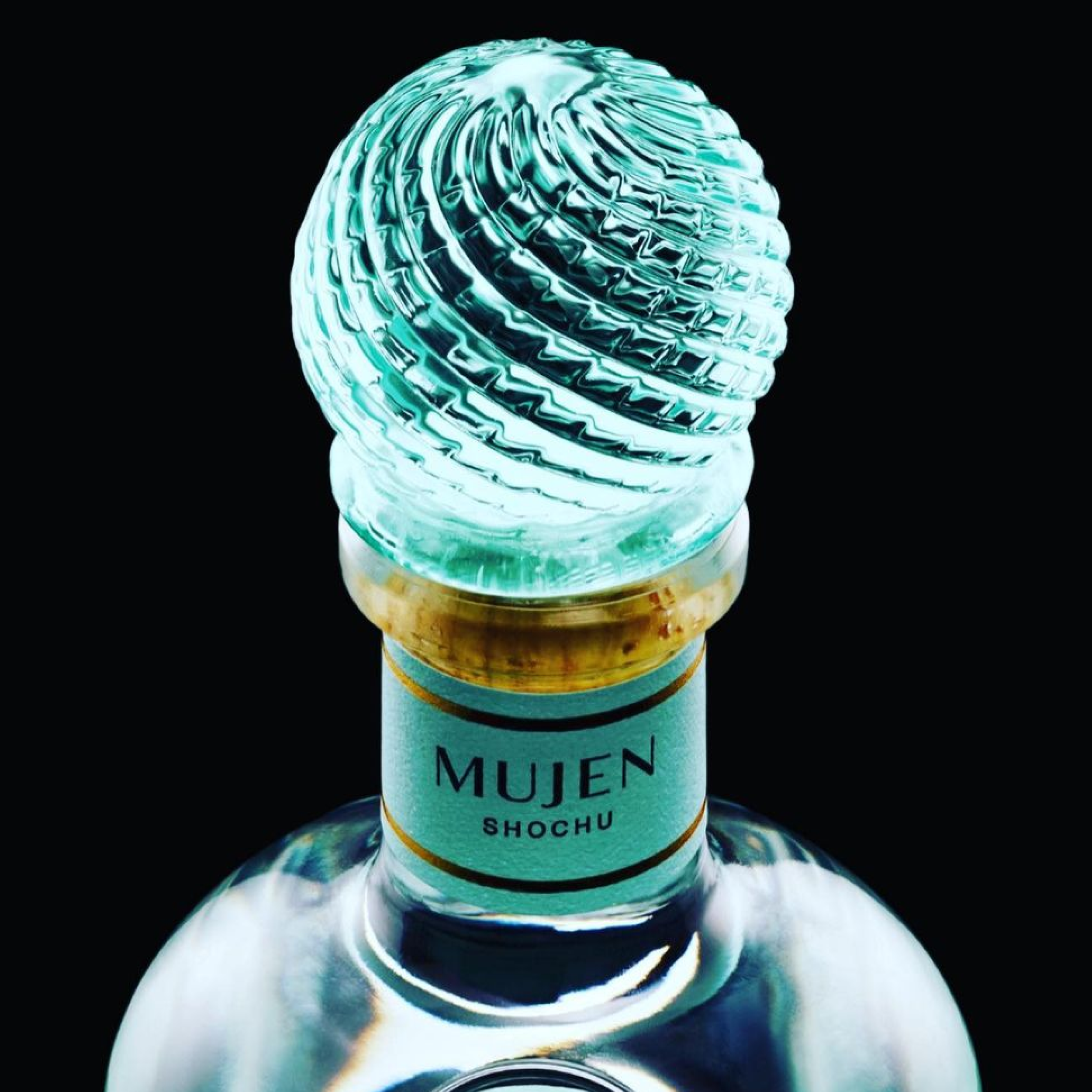 Mujen-Product 2-Famm@2x.png