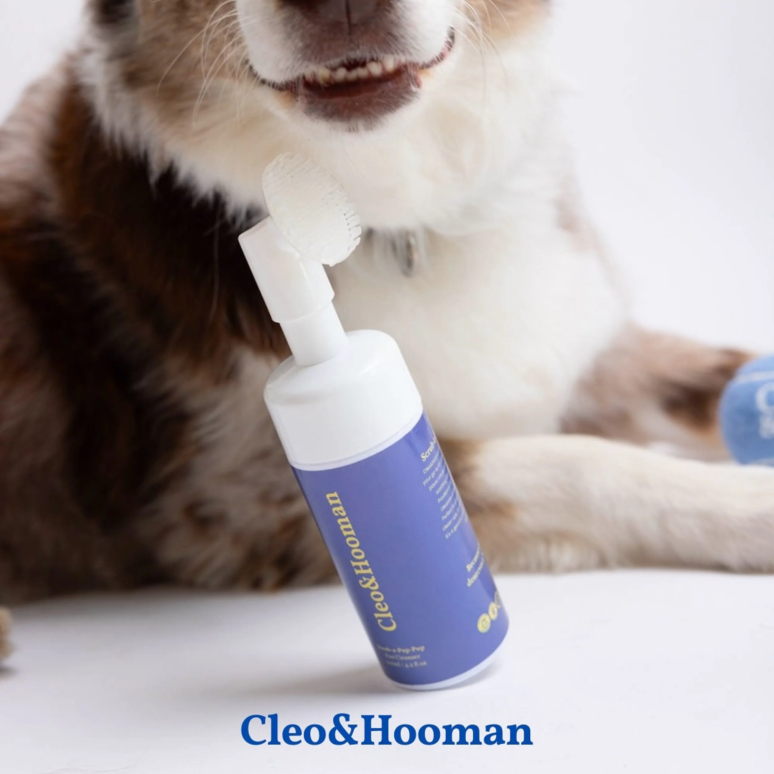Cleo & Hooman-Scrub a pup pup-Famm.jpg