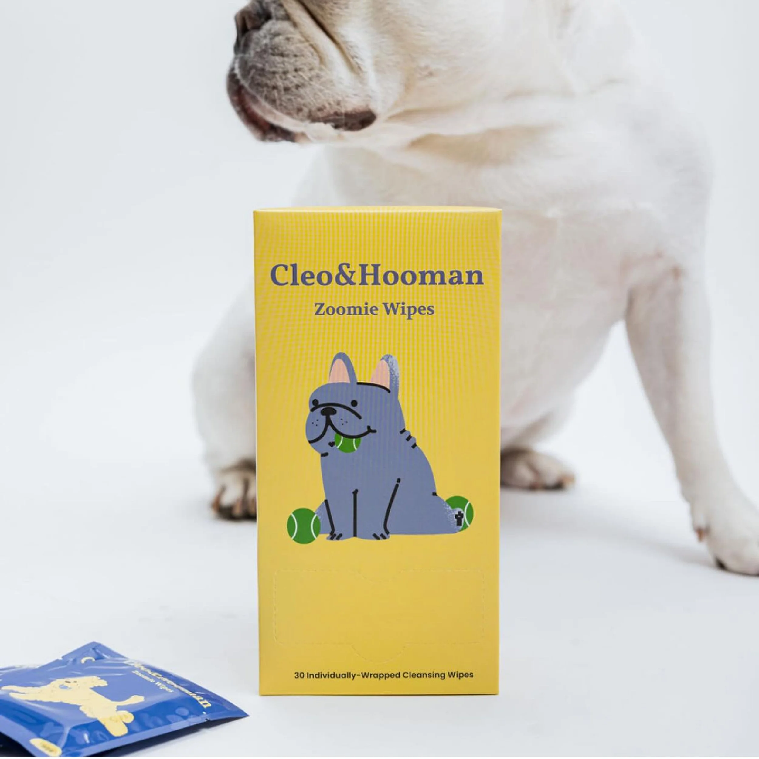 Cleo & Hooman-Zoomie Wipes-Famm.jpg