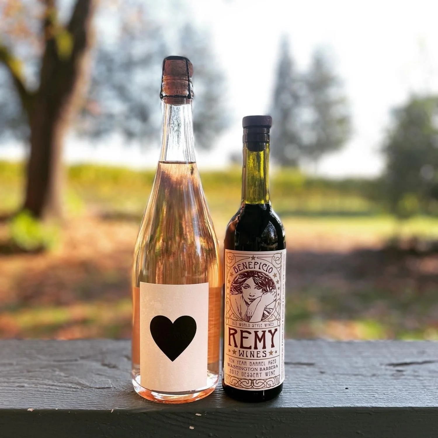 Remy Wines_Ten-Year Beneficio_Famm.jpg