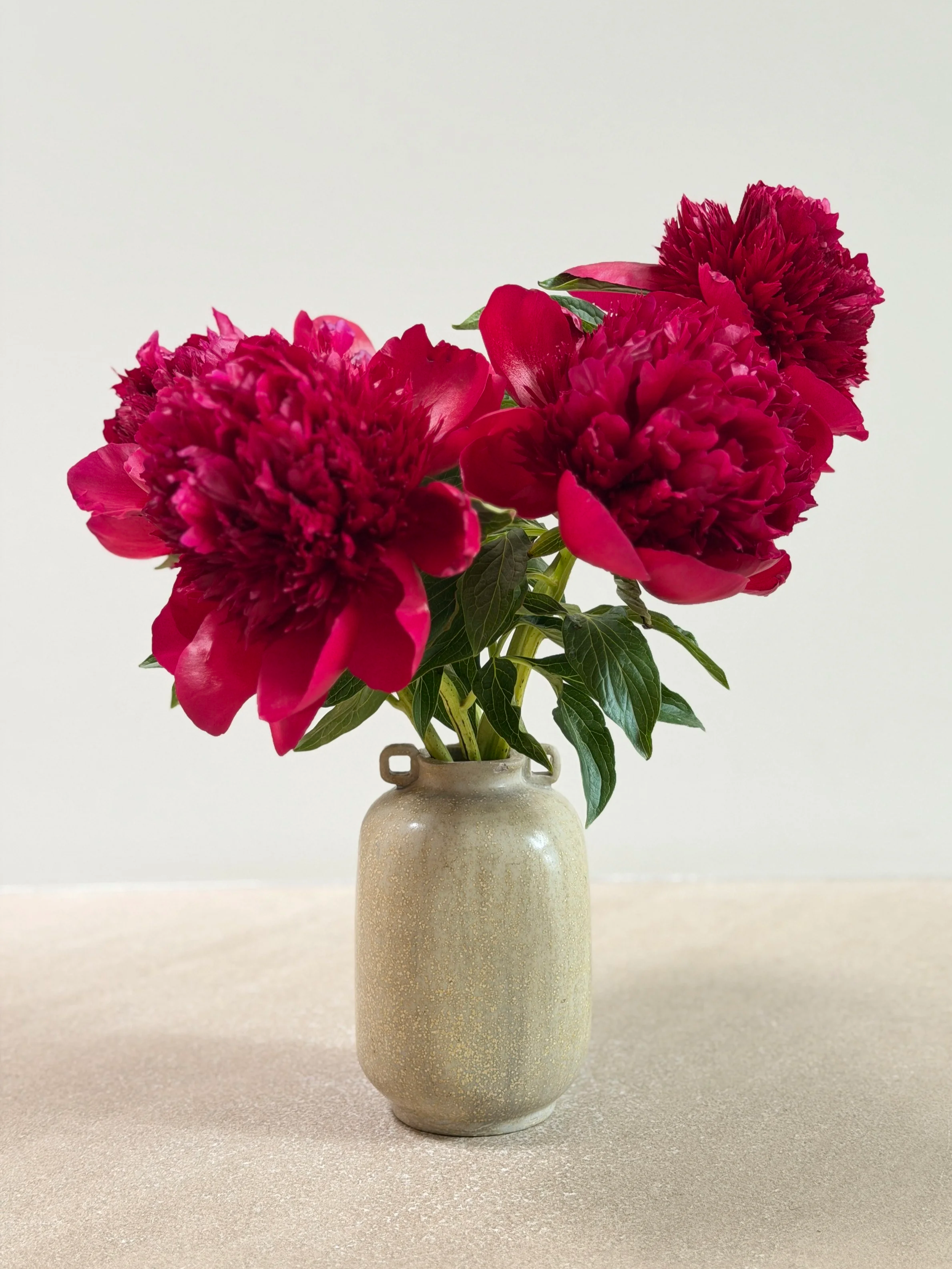 IMG_4532.png
