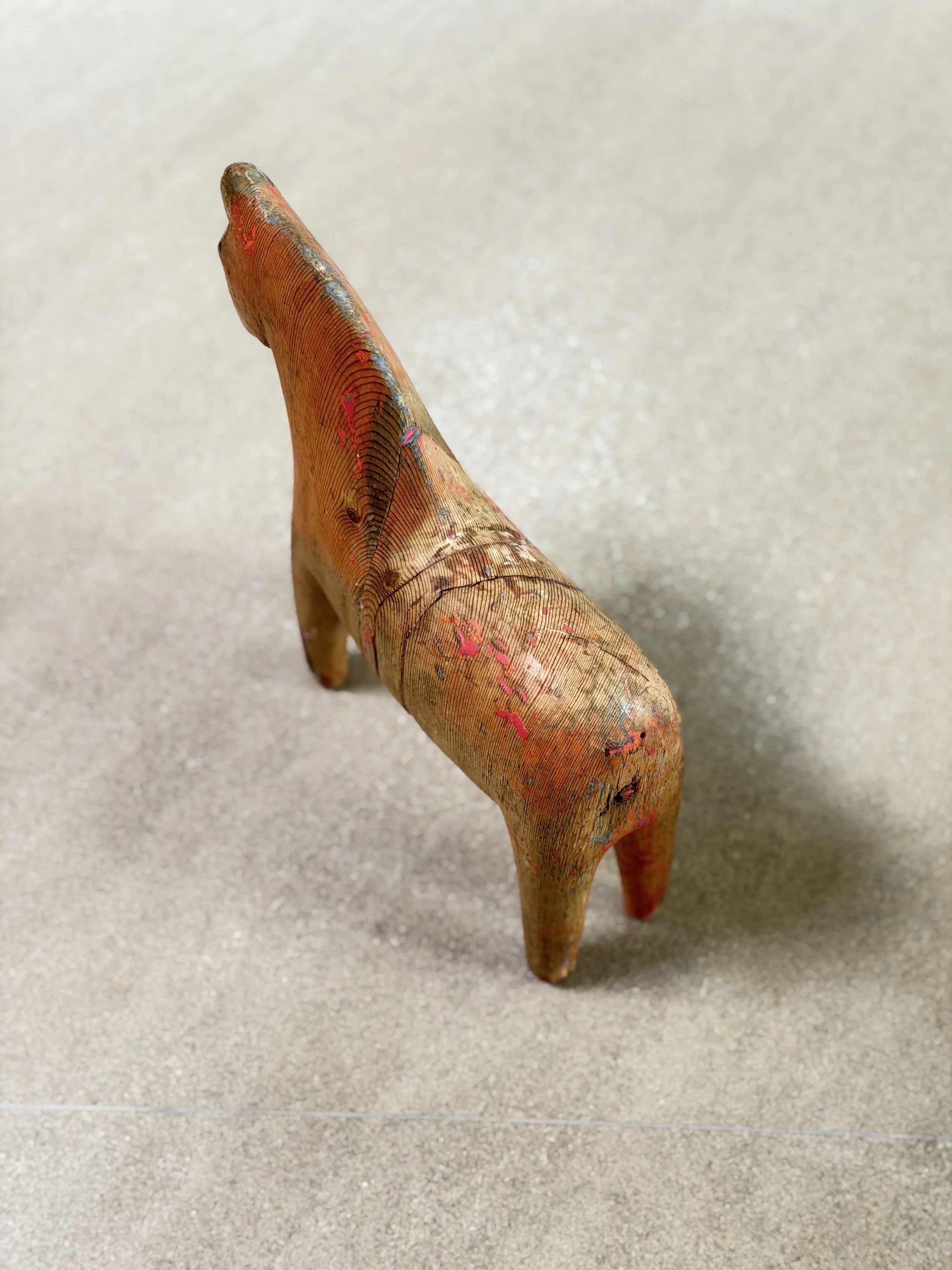 IMG_5003.JPG