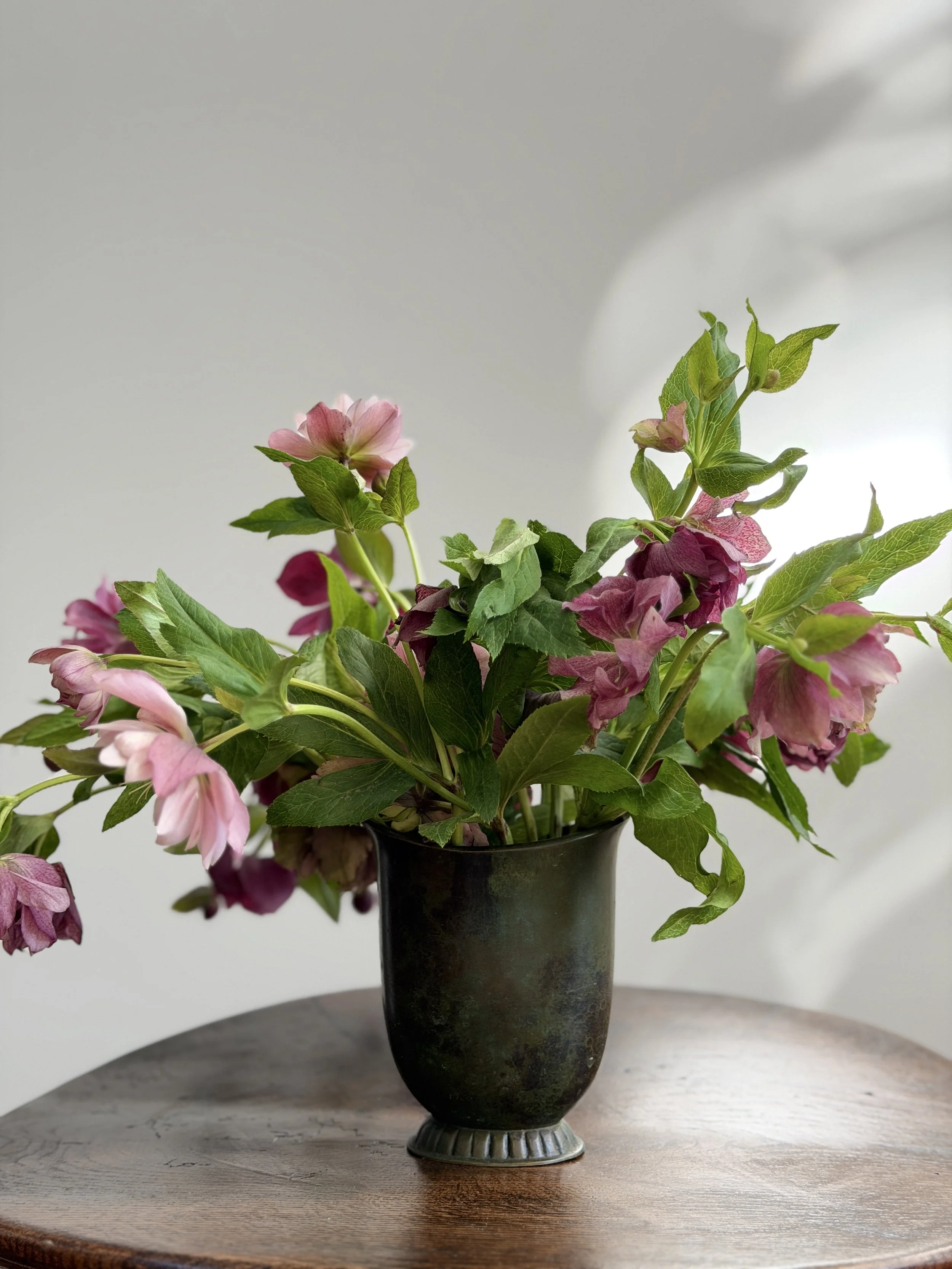IMG_5892.JPG